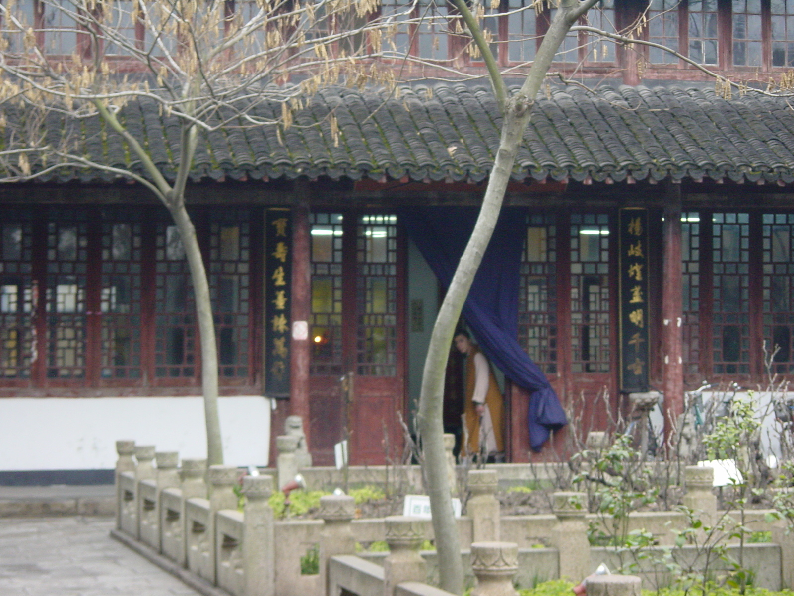 รูปถ่าย จีน(China) เซี่ยงไฮ้(Shanghai) 2002-01 268