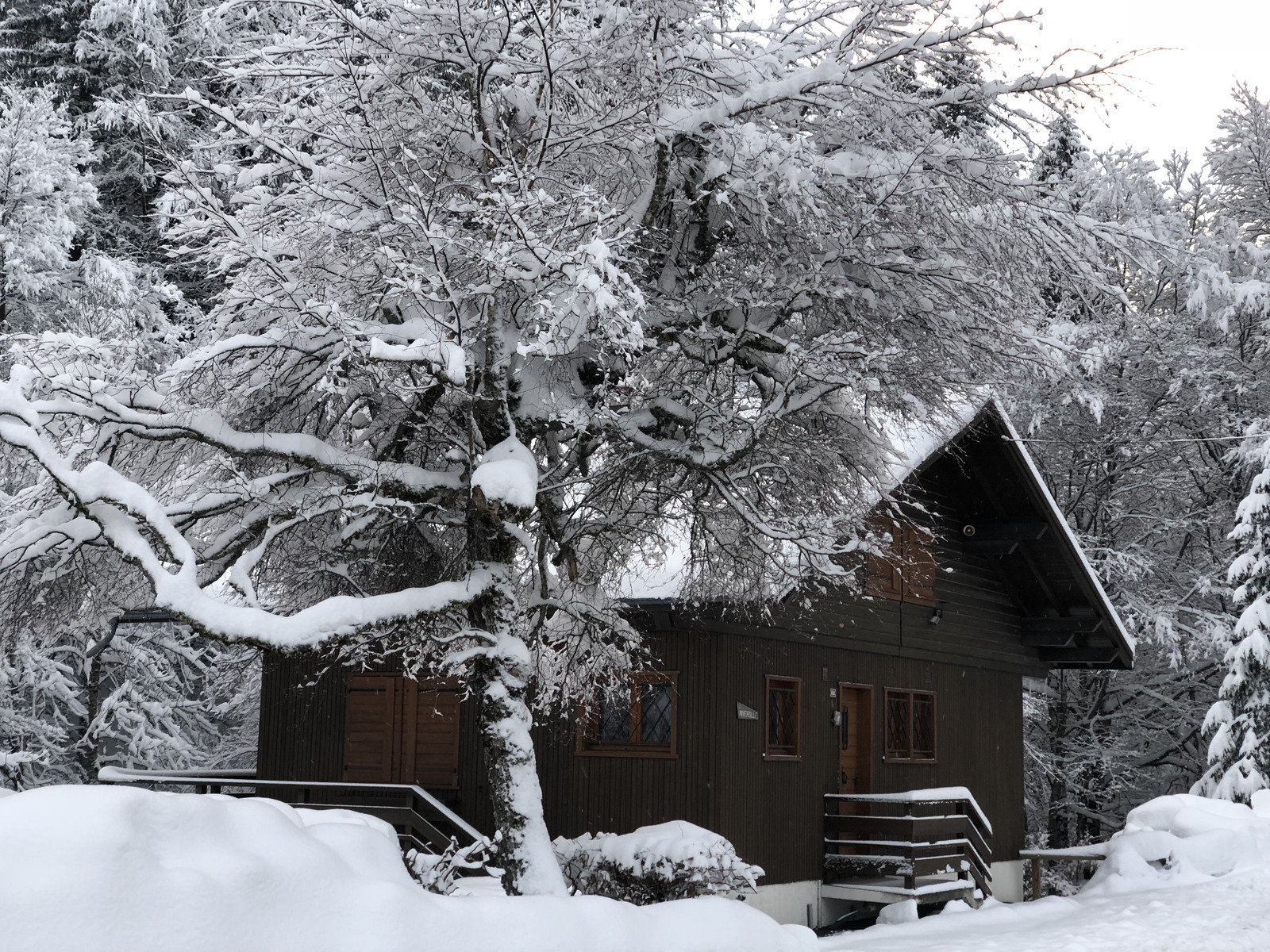 รูปถ่าย ฝรั่งเศส(France) ลากลูซา(La Clusaz) 2017-12 83
