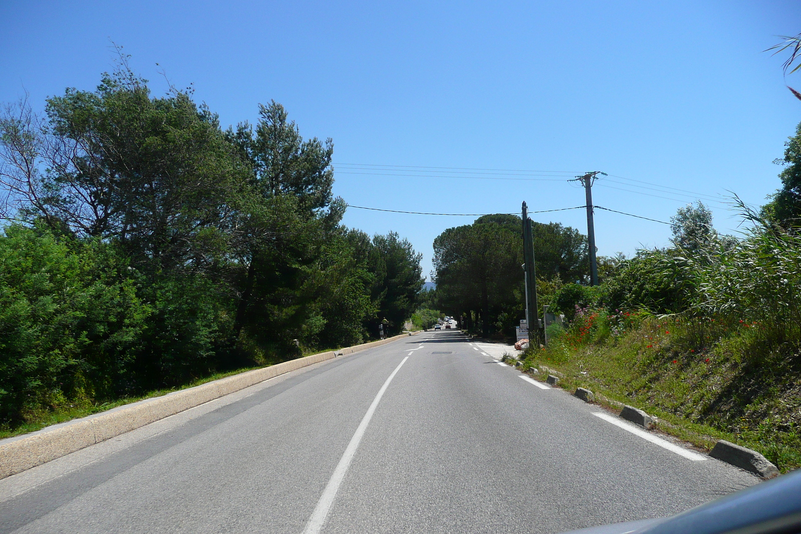 รูปถ่าย ฝรั่งเศส(France) เฟรนช์ริวิเอรา(French Riviera) คาบสมุทรอีแยร์(Hyeres peninsula) 2008-05 23