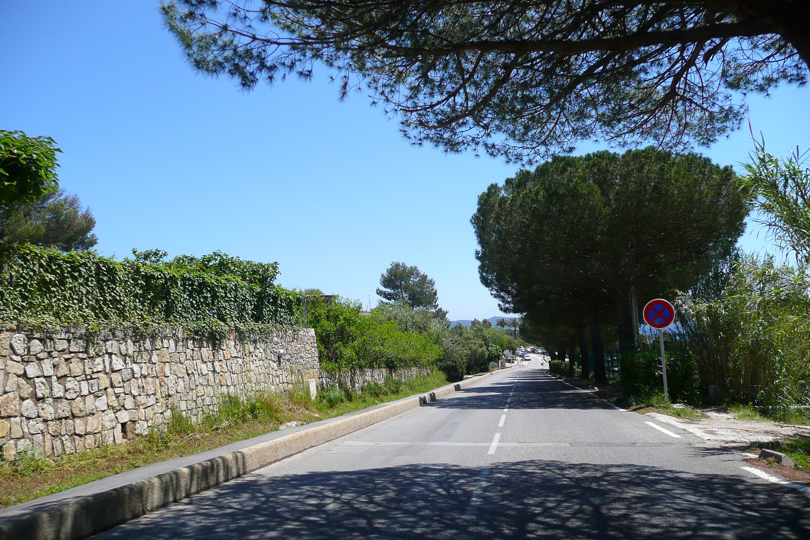 รูปถ่าย ฝรั่งเศส(France) เฟรนช์ริวิเอรา(French Riviera) คาบสมุทรอีแยร์(Hyeres peninsula) 2008-05 22