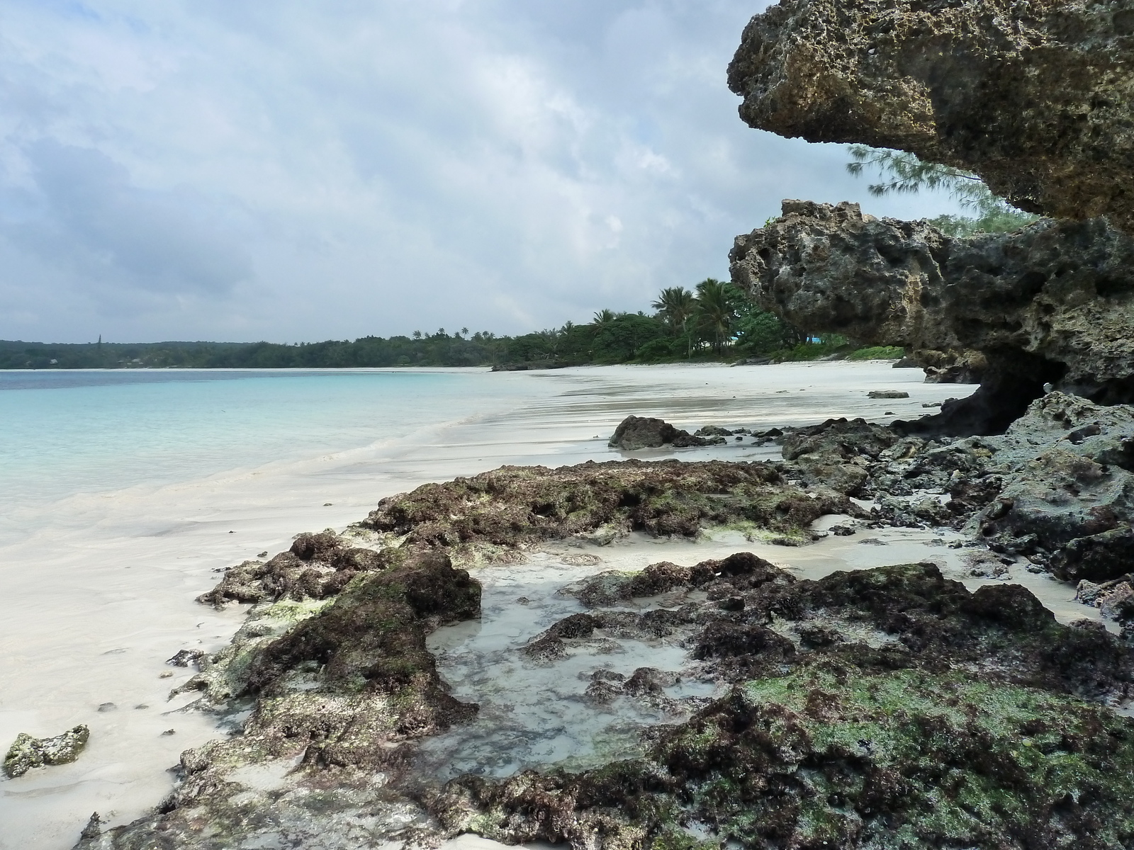 รูปถ่าย นิวแคลิโดเนีย(New Caledonia) เกาะลีฟู(Lifou) ลูเอซิลลา(Luecilla) 2010-05 51