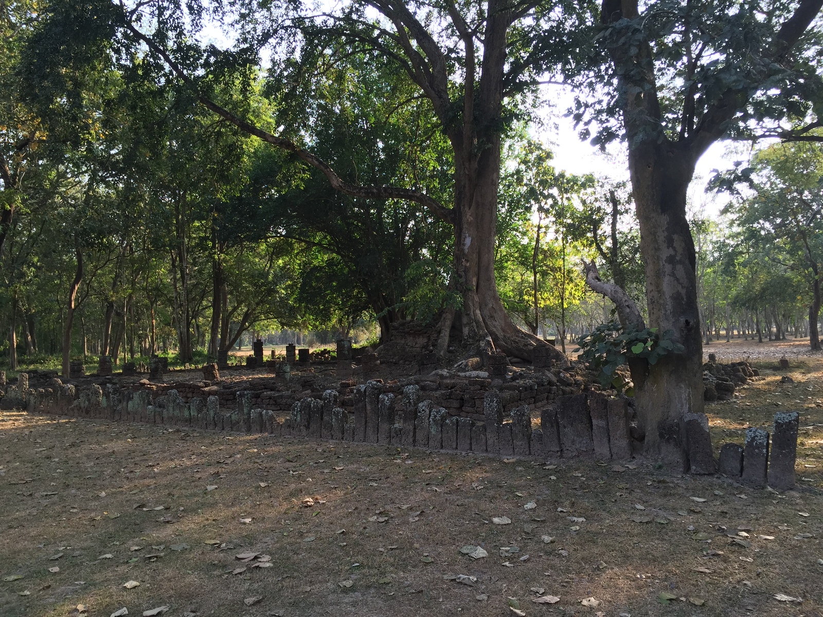 รูปถ่าย ไทย(Thailand) อุทยานประวัติศาสตร์ศรีสัชนาลัย(Si satchanalai historical park) 2014-12 173