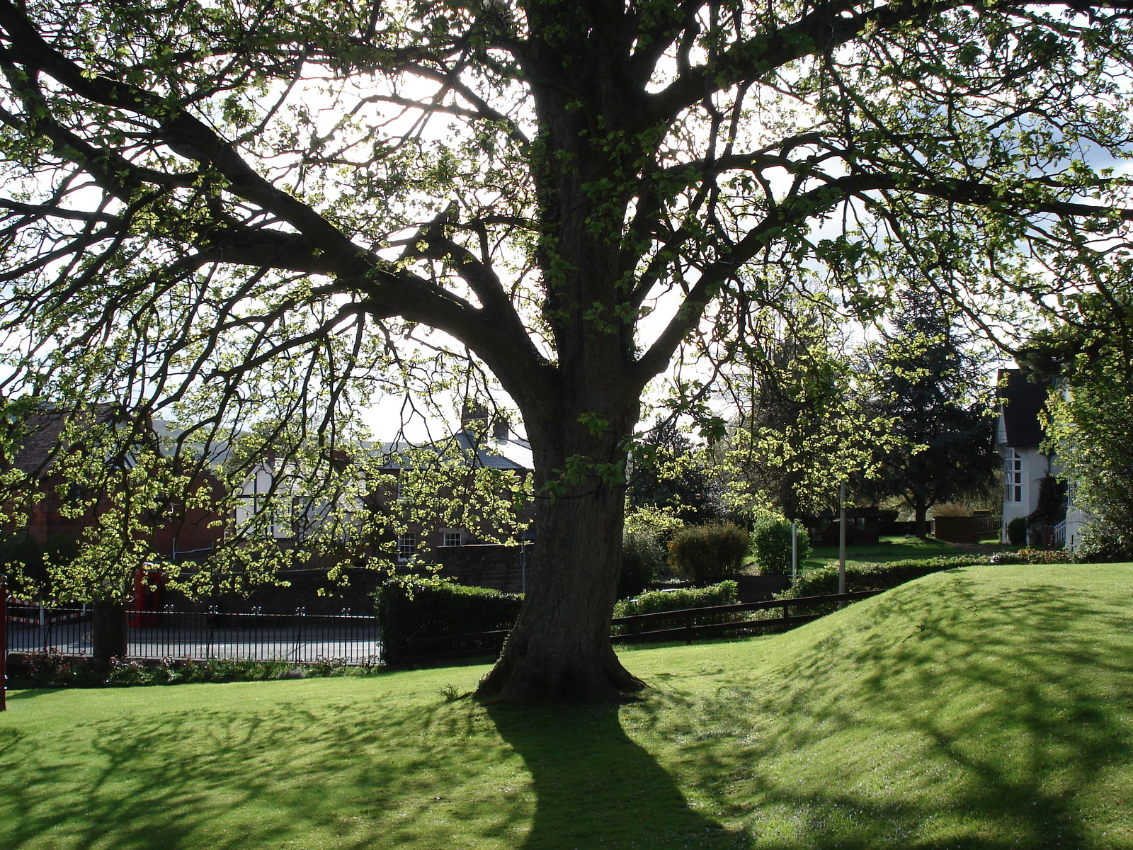 รูปถ่าย อังกฤษ(United Kingdom) มอนเมาธ์(Monmouth) 2006-05 51