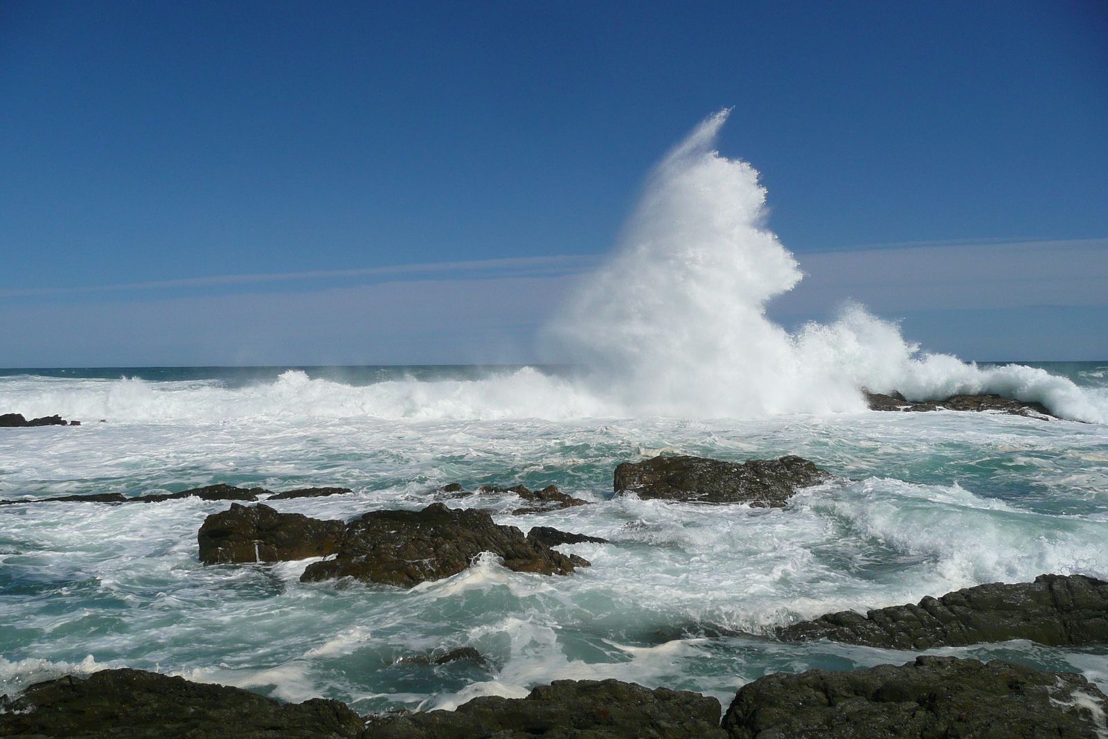 รูปถ่าย แอฟริกาใต้(South Africa) อุทยานแห่งชาติซิตซิคัมมา(Tsitsikamma National Park) 2008-09 318
