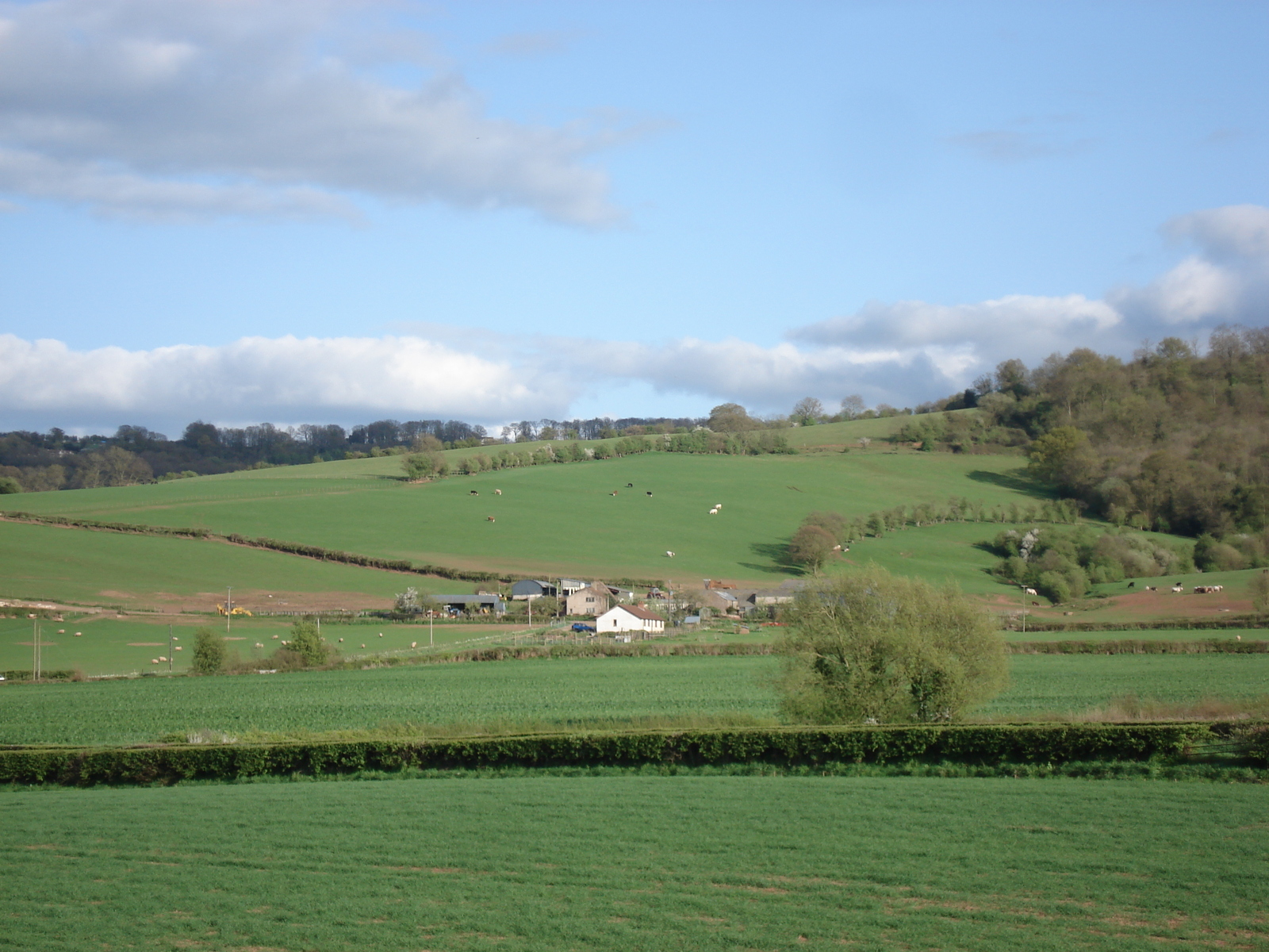 รูปถ่าย อังกฤษ(United Kingdom) มอนเมาธ์(Monmouth) 2006-05 0