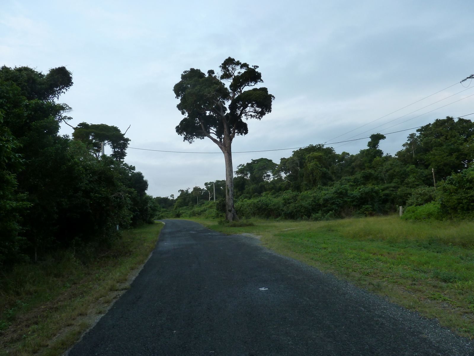 รูปถ่าย นิวแคลิโดเนีย(New Caledonia) เกาะต้นสน(Ile des pins) 2010-05 29