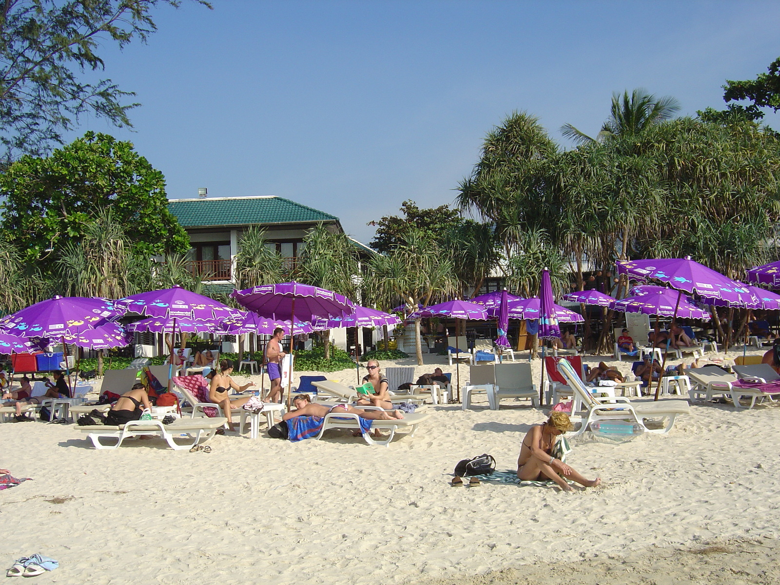 รูปถ่าย ไทย(Thailand) ภูเก็ต(Phuket) ป่าตอง(Patong) หาดทราย(Beach) 2005-12 31