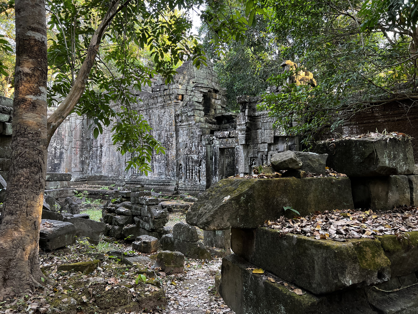 รูปถ่าย กัมพูชา(Cambodia) เสียมราฐ(Siem Reap) ปราสาทพระขรรค์(Preah Khan) 2023-01 63