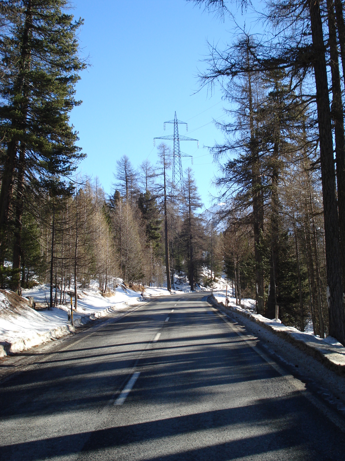 รูปถ่าย สวิสเซอร์แลนด์(Switzerland) จากปอนเตรซีนาไปลาโกเบียนโก(From Pontresina to Lago Bianco) 2007-01 65