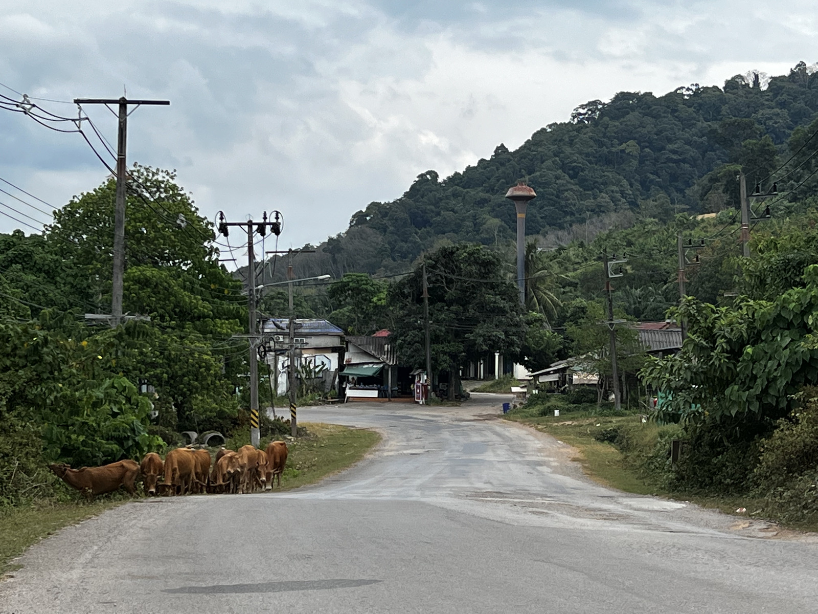 รูปถ่าย ไทย(Thailand) เกาะลันตา(Ko Lanta) 2023-01 154