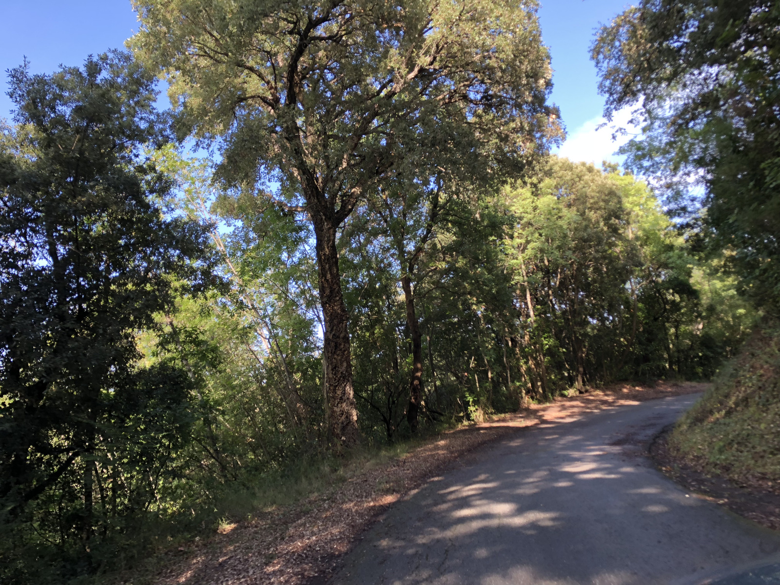 รูปถ่าย ฝรั่งเศส(France) คอร์สิคา(Corsica) ซานจูเลียโน(San Giuliano) 2018-09 2