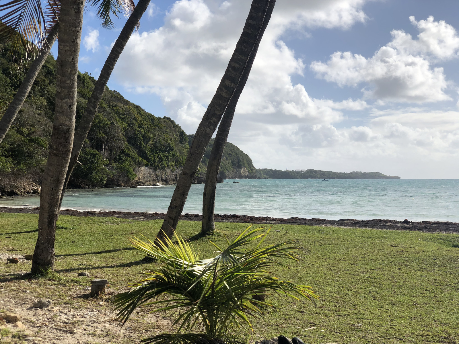 รูปถ่าย กวาเดอลูป(Guadeloupe) 2021-02 5