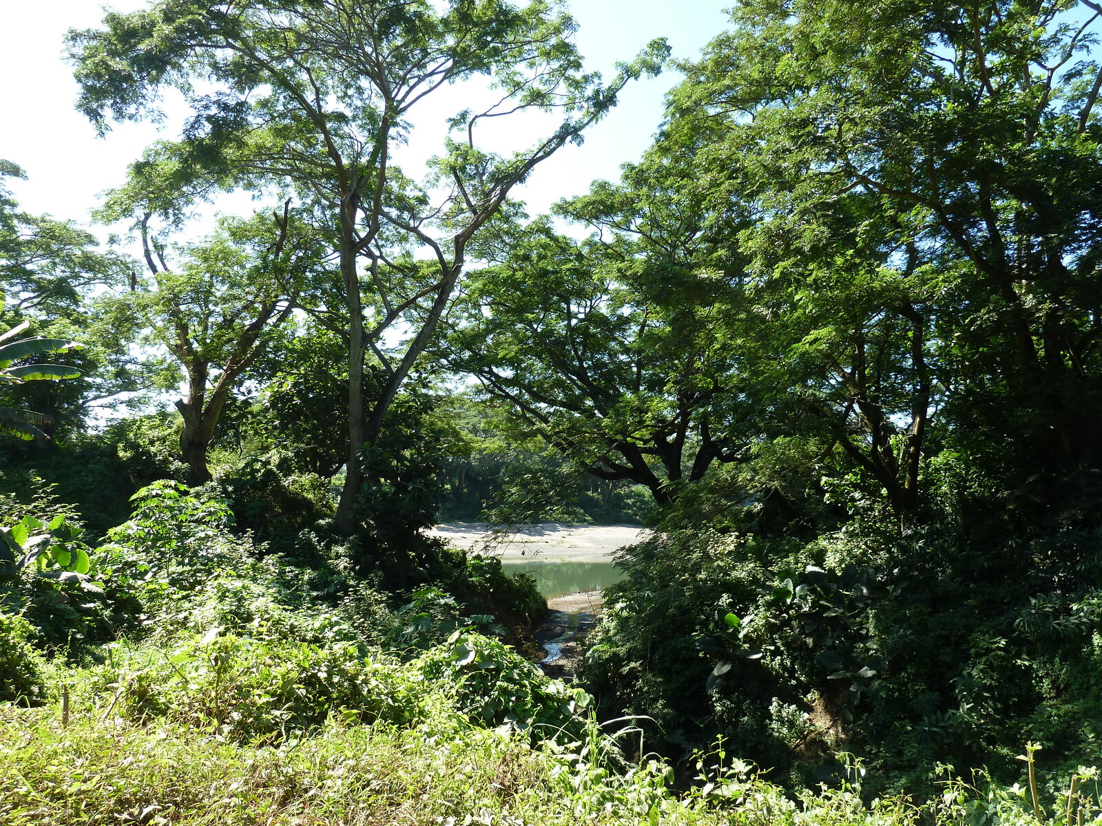 รูปถ่าย ฟิจิ(Fiji) แม่น้ำซิงกาโตกา(Sigatoka river) 2010-05 26