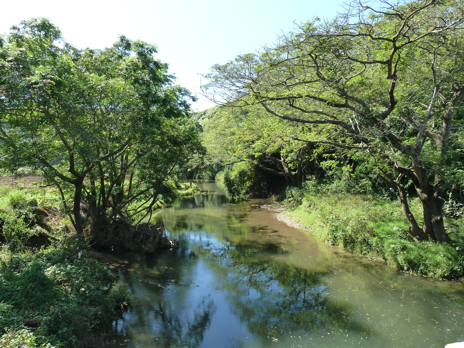 รูปถ่าย ฟิจิ(Fiji) แม่น้ำซิงกาโตกา(Sigatoka river) 2010-05 65