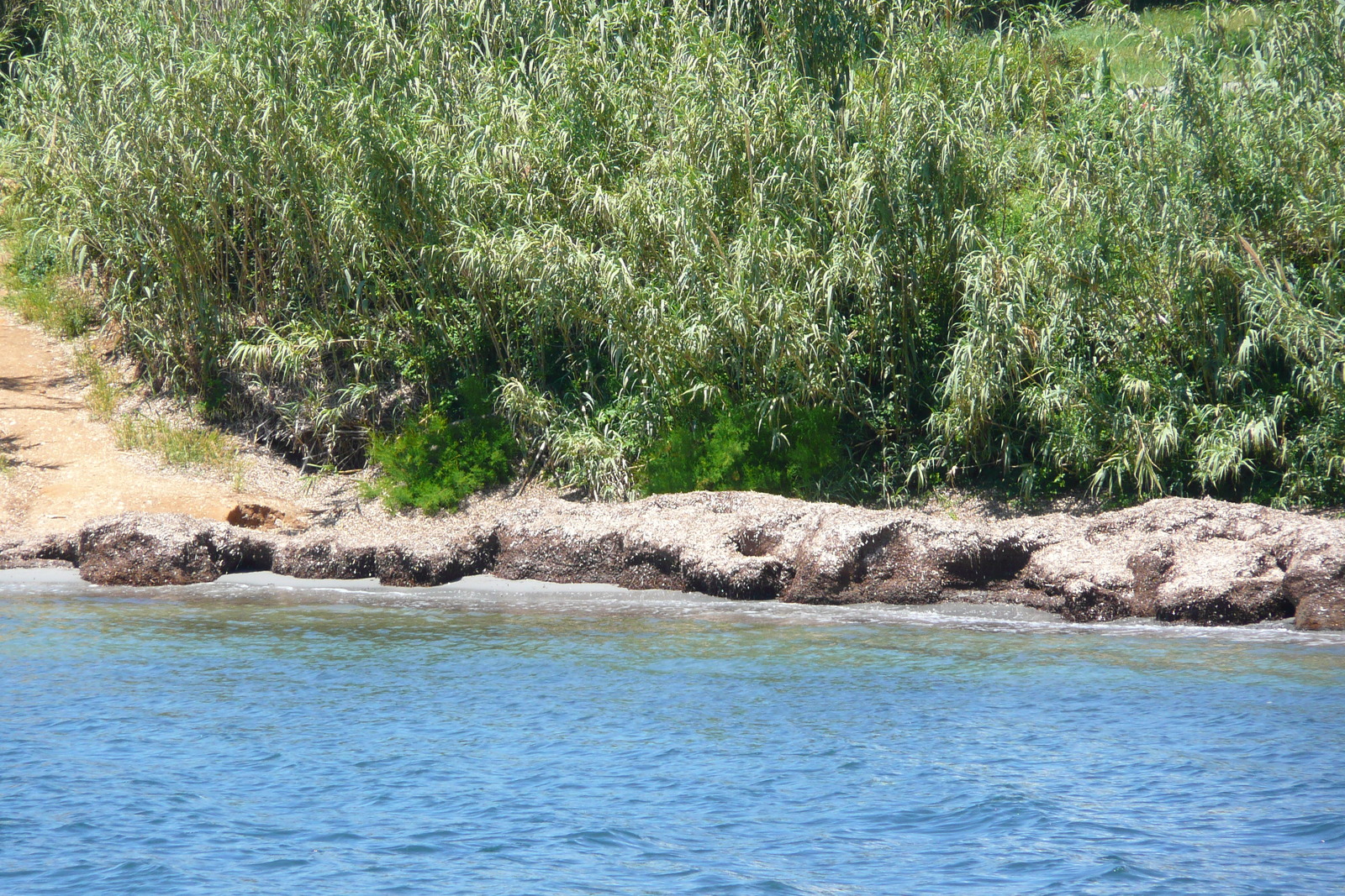 รูปถ่าย ฝรั่งเศส(France) เกาะปอร์เกอรอล(Porquerolles Island) ล่องเรือไปเกาะปอร์เกอรอล(Boat trip to Porquerolles) 2008-05 35