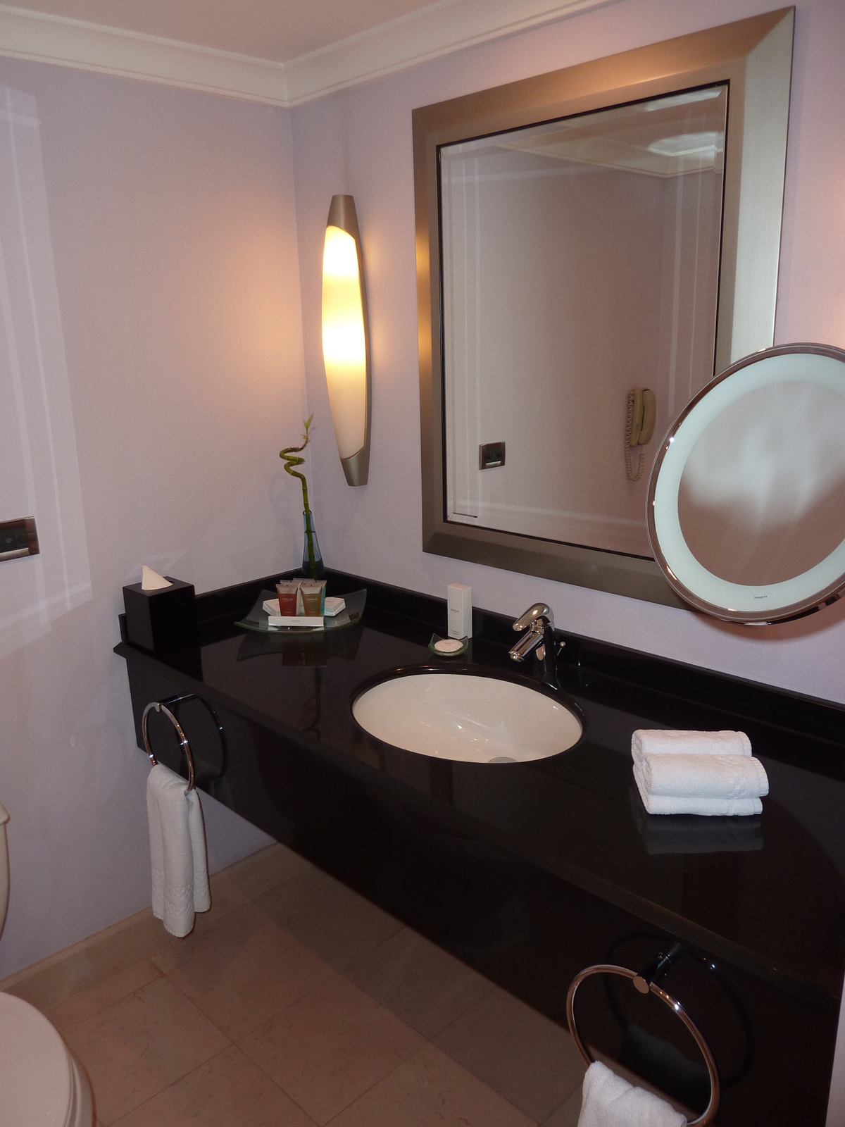 รูปถ่าย ตุรกี(Turkey) อิสตันบูล(Istanbul) โรงแรมคอนราด(Conrad Hotel) 2009-06 65