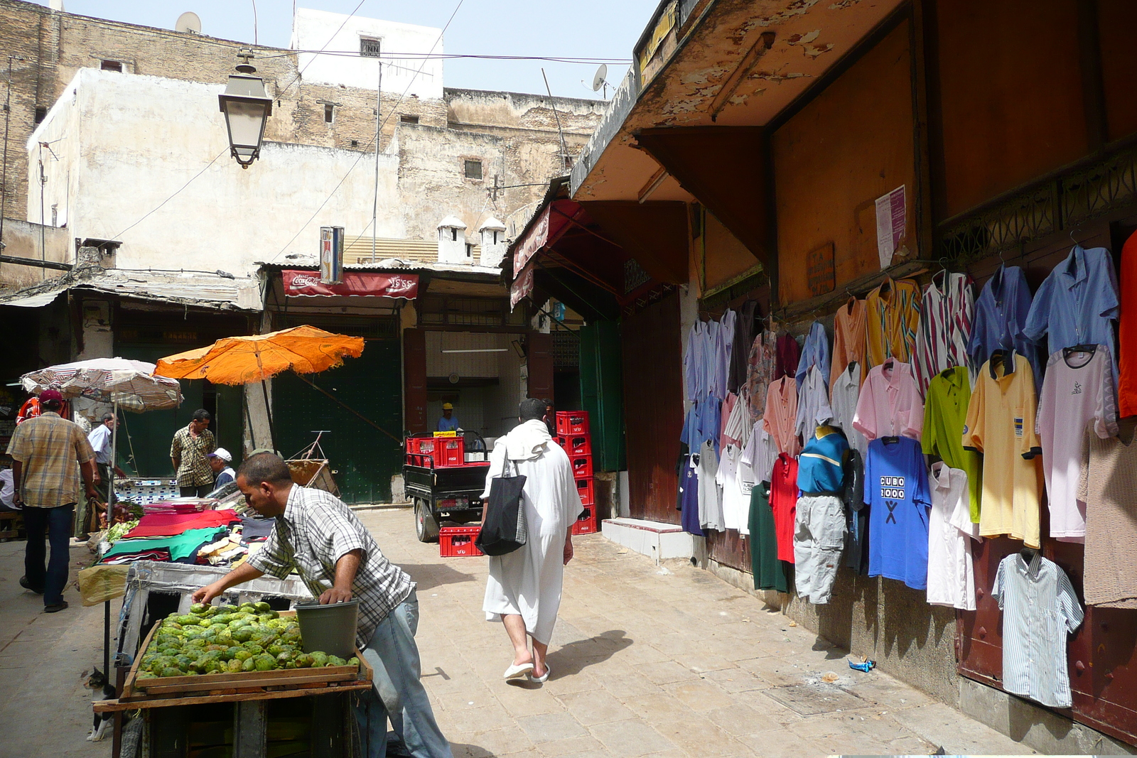 รูปถ่าย โมร็อกโก(Morocco) เฟส(Fes) 2008-07 100