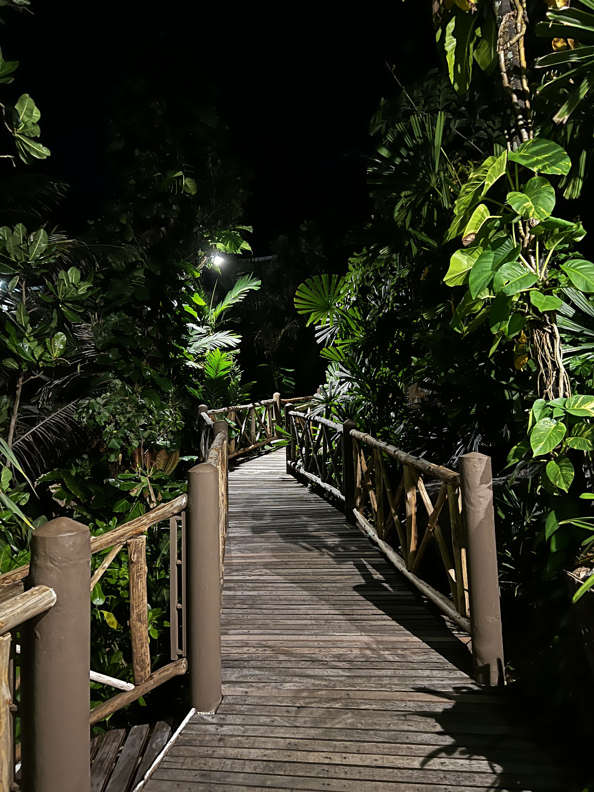 รูปถ่าย ไทย(Thailand) ภูเก็ต(Phuket) หาดกะรน(Karon Beach) ร้านอาหารออนเดอะร็อก(On the rock Restaurant) 2021-12 6