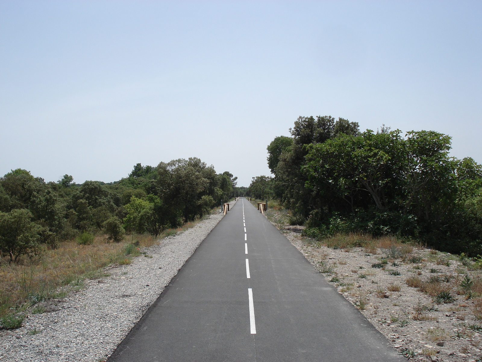 รูปถ่าย ฝรั่งเศส(France) โซเมียร์(Sommieres) 2006-06 9