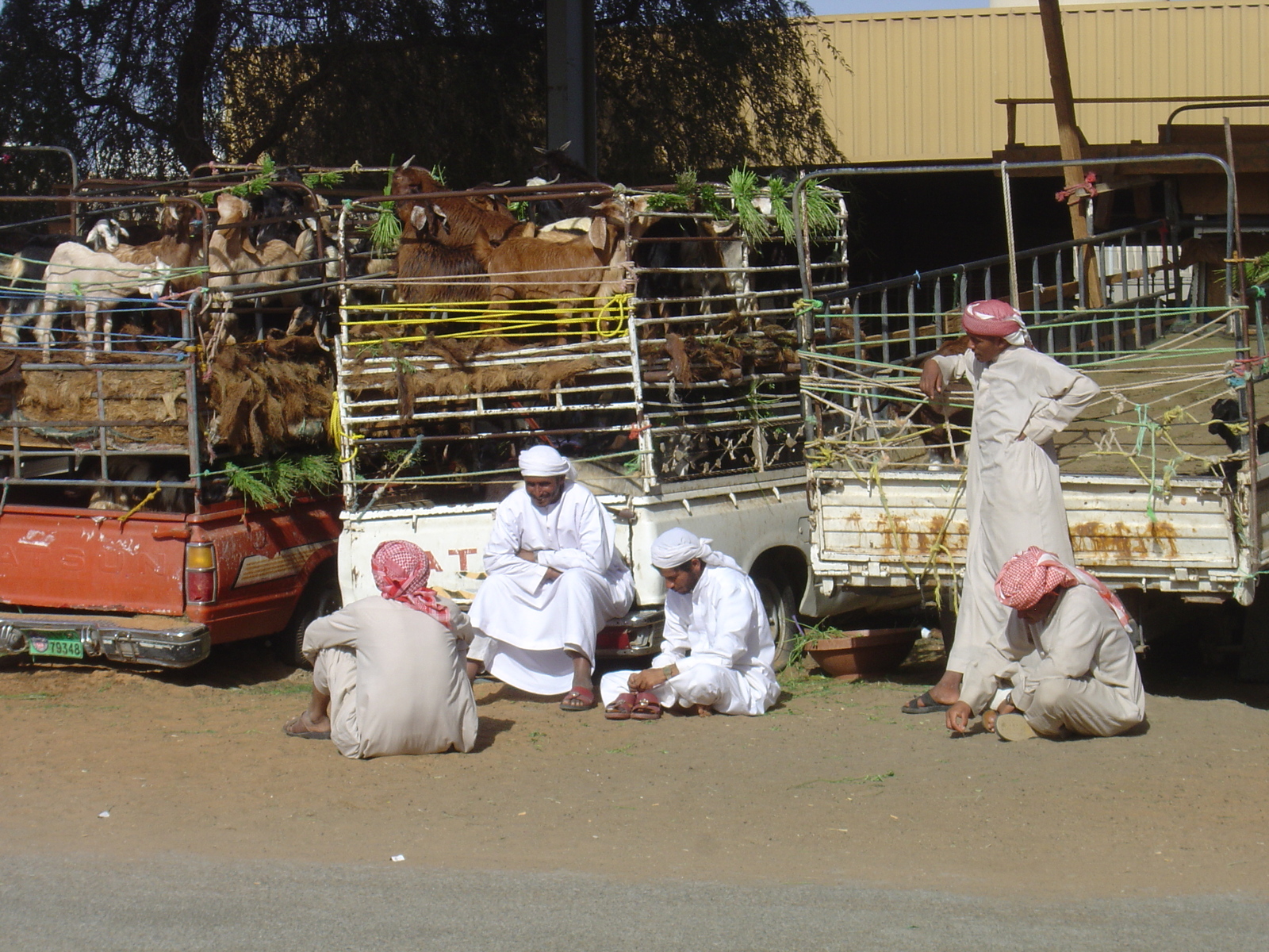 รูปถ่าย สหรัฐอาหรับเอมิเรตส์(United Arab Emirates) อาเลอิน(Al Ain) 2005-03 66
