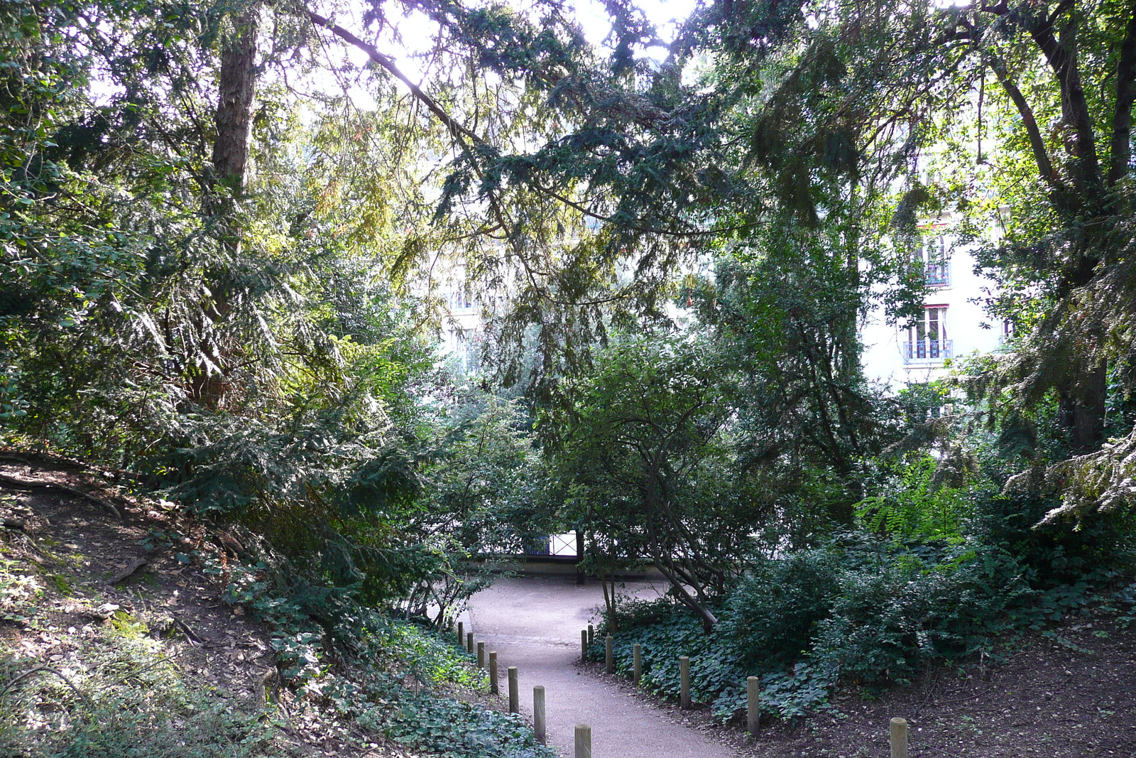 รูปถ่าย ฝรั่งเศส(France) ปารีส(Paris) สวนพันธ์ุพืช(Jardin des Plantes) 2007-08 0