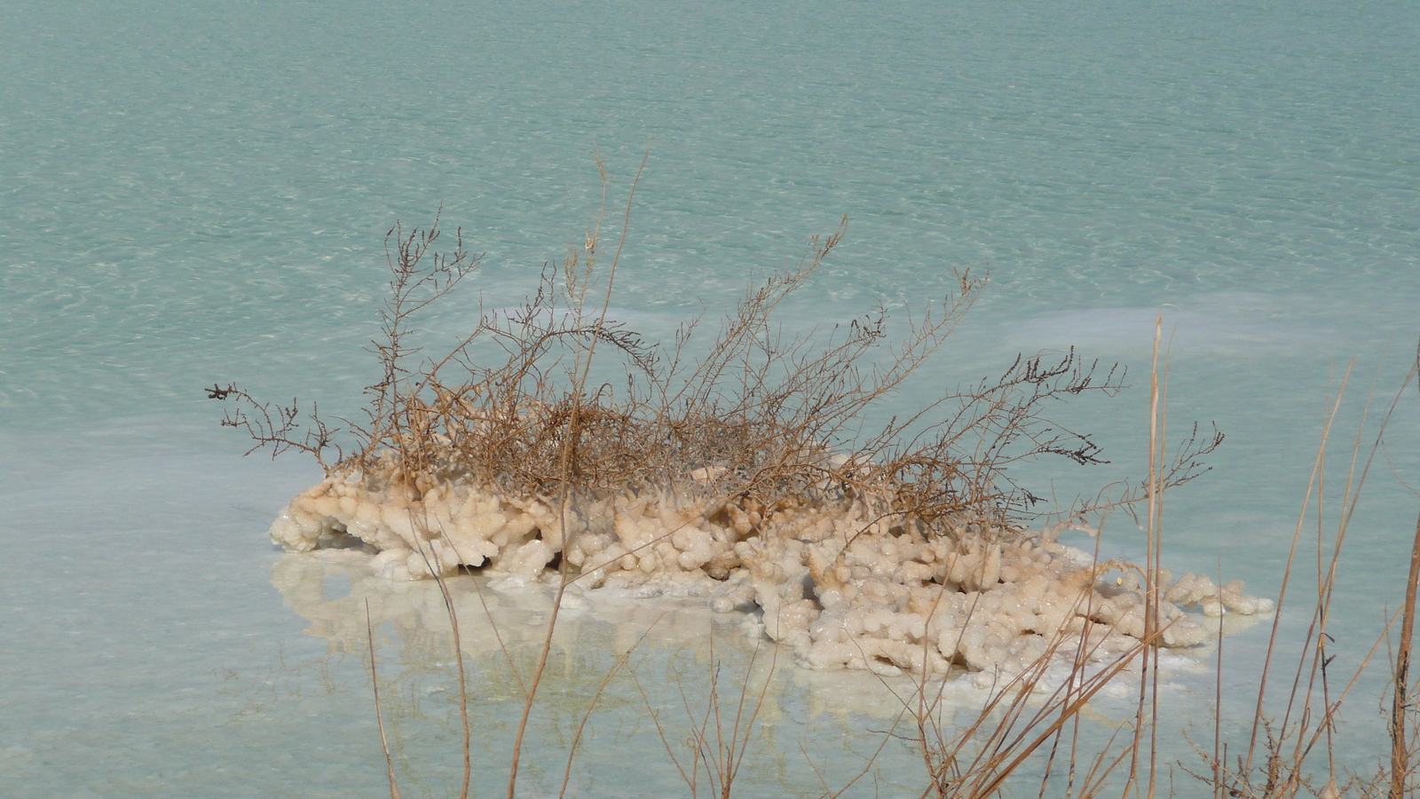 รูปถ่าย อิสราเอล(Israel) อึนโบเกก(Boqeq) 2007-06 57