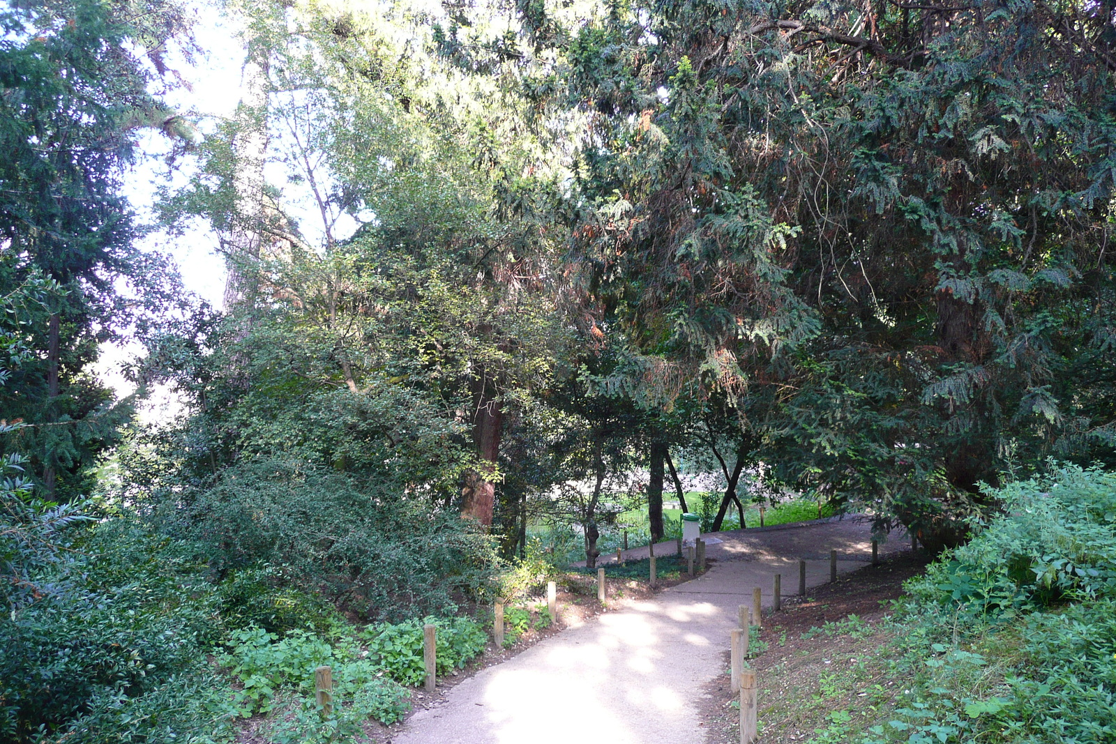 รูปถ่าย ฝรั่งเศส(France) ปารีส(Paris) สวนพันธ์ุพืช(Jardin des Plantes) 2007-08 218