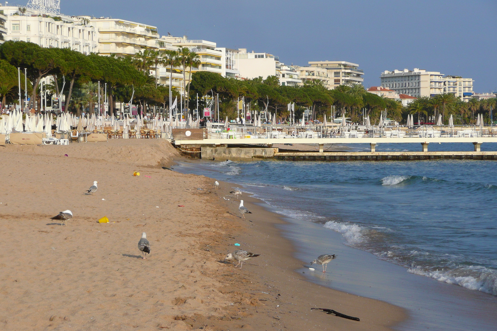 รูปถ่าย ฝรั่งเศส(France) คานส์(Cannes) หาดทราย(Beach) 2008-04 30