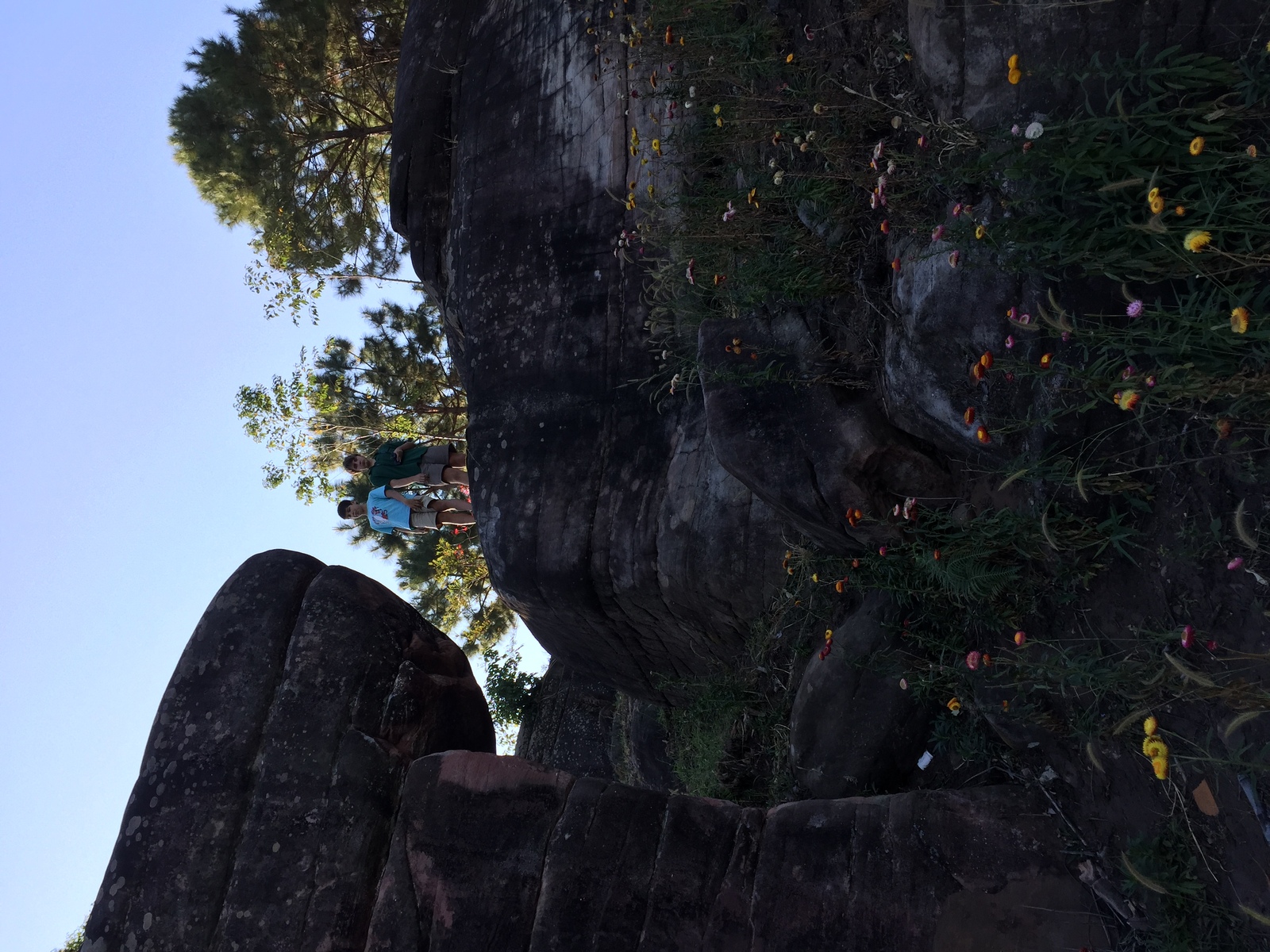 รูปถ่าย ไทย(Thailand) อุทยานแห่งชาติภูหินร่องกล้า(Phu Hin Rong Kla National Park) 2014-12 134