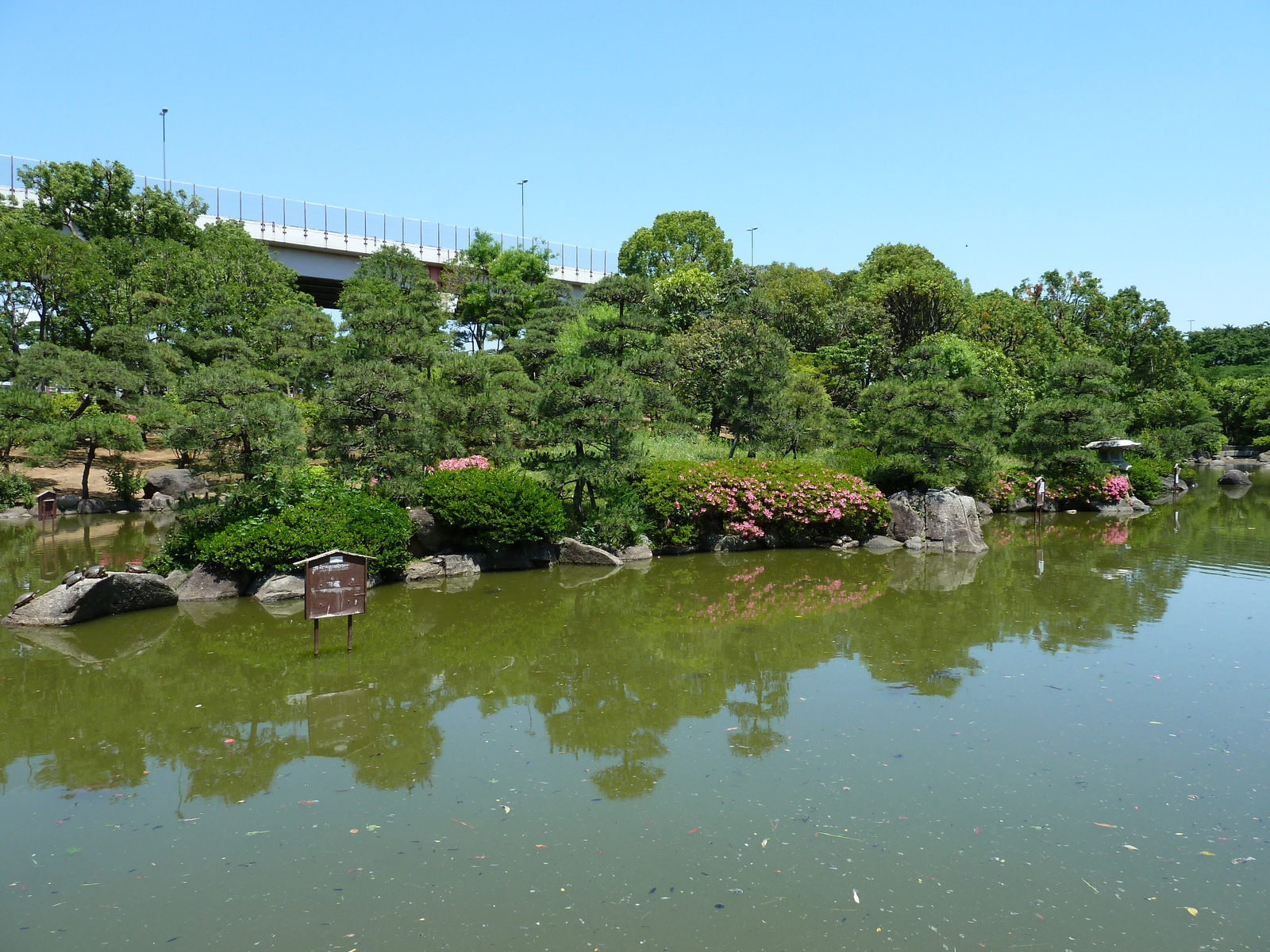 รูปถ่าย ญี่ปุ่น(Japan) โตเกียว(Tokyo) ซุมิดะ(Sumida) 2010-06 21