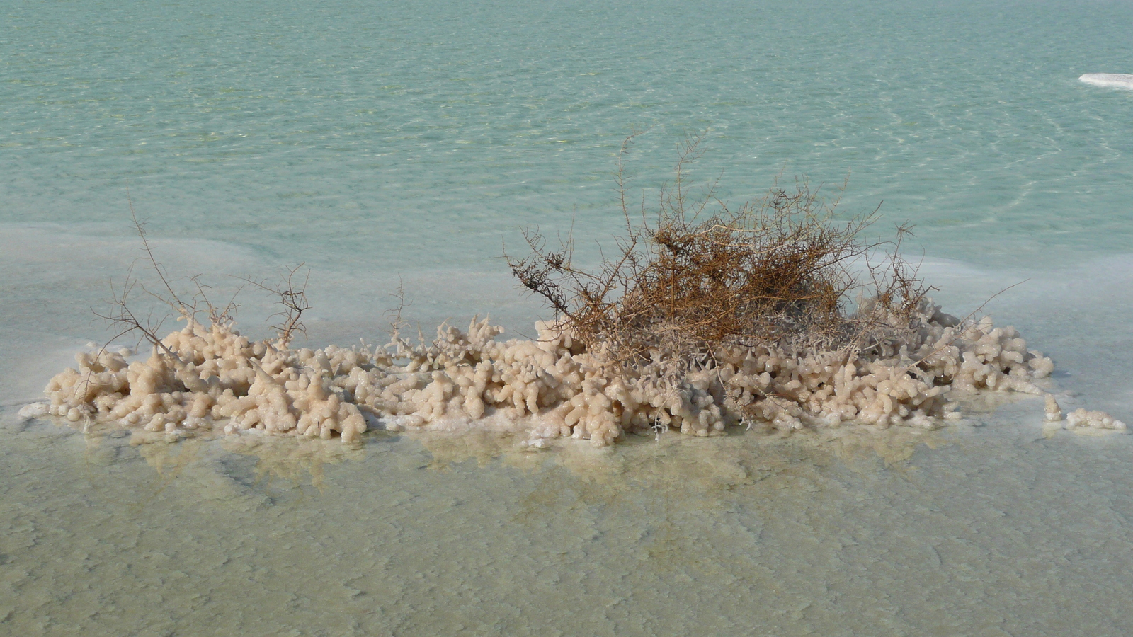 รูปถ่าย อิสราเอล(Israel) อึนโบเกก(Boqeq) 2007-06 103