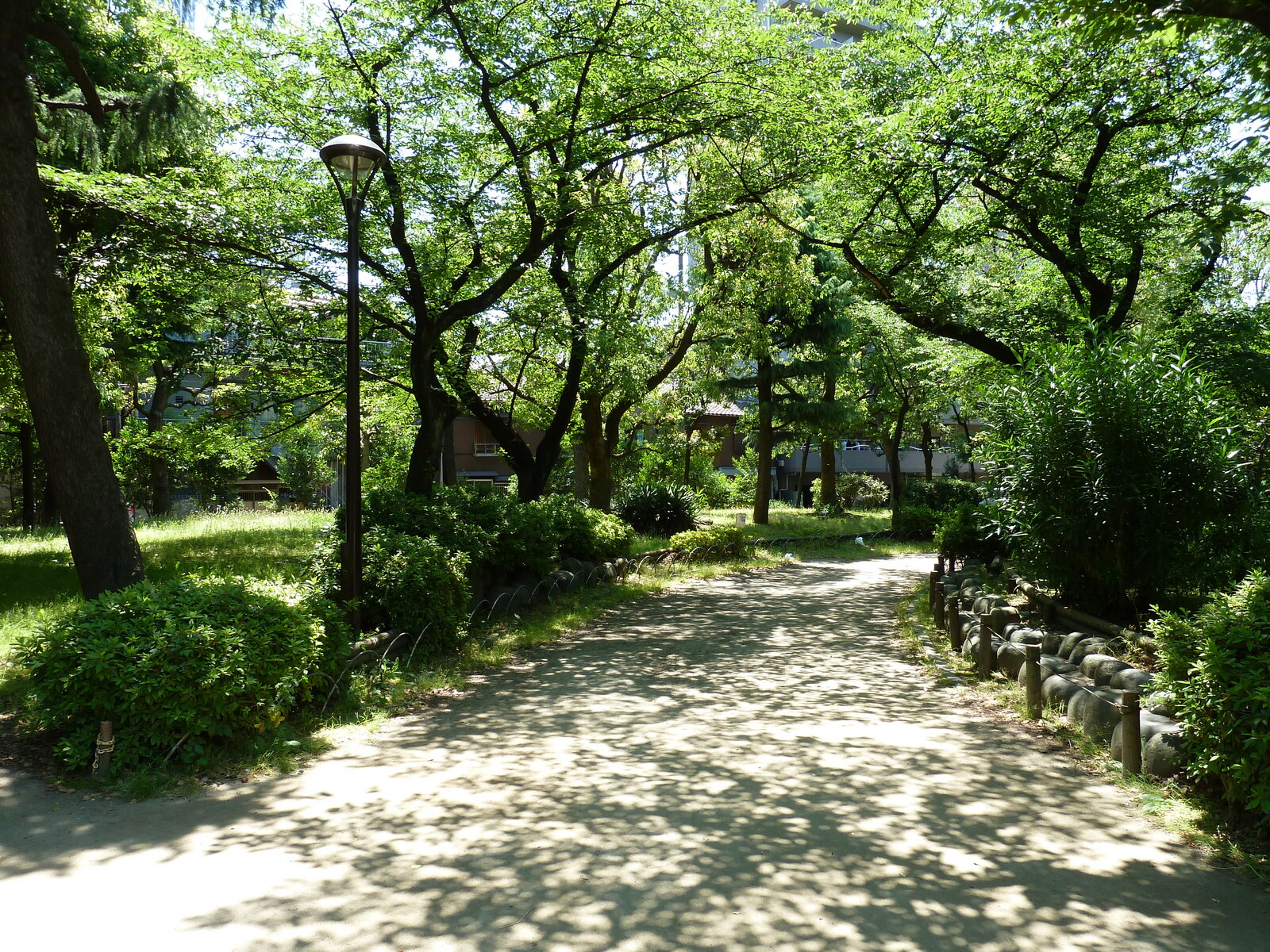 รูปถ่าย ญี่ปุ่น(Japan) โตเกียว(Tokyo) ซุมิดะ(Sumida) 2010-06 28
