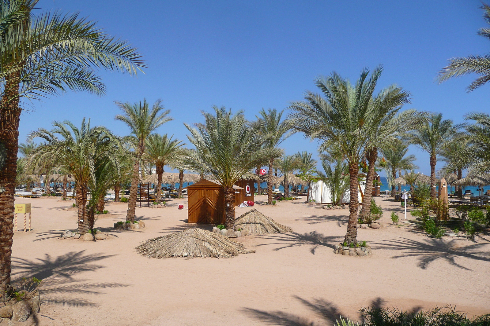 รูปถ่าย อียิปต์(Egypt) ชาร์มเอลชีค(Sharm el Sheikh) 2008-06 15