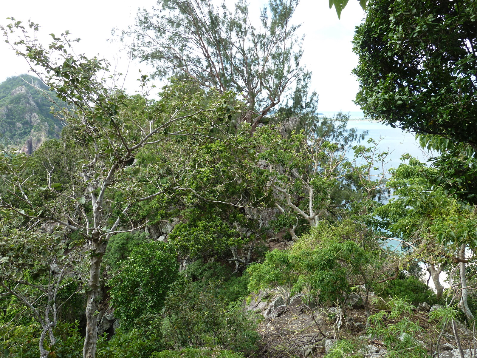 รูปถ่าย ฟิจิ(Fiji) เกาะแคสต์อะเวย์(Castaway Island) 2010-05 49