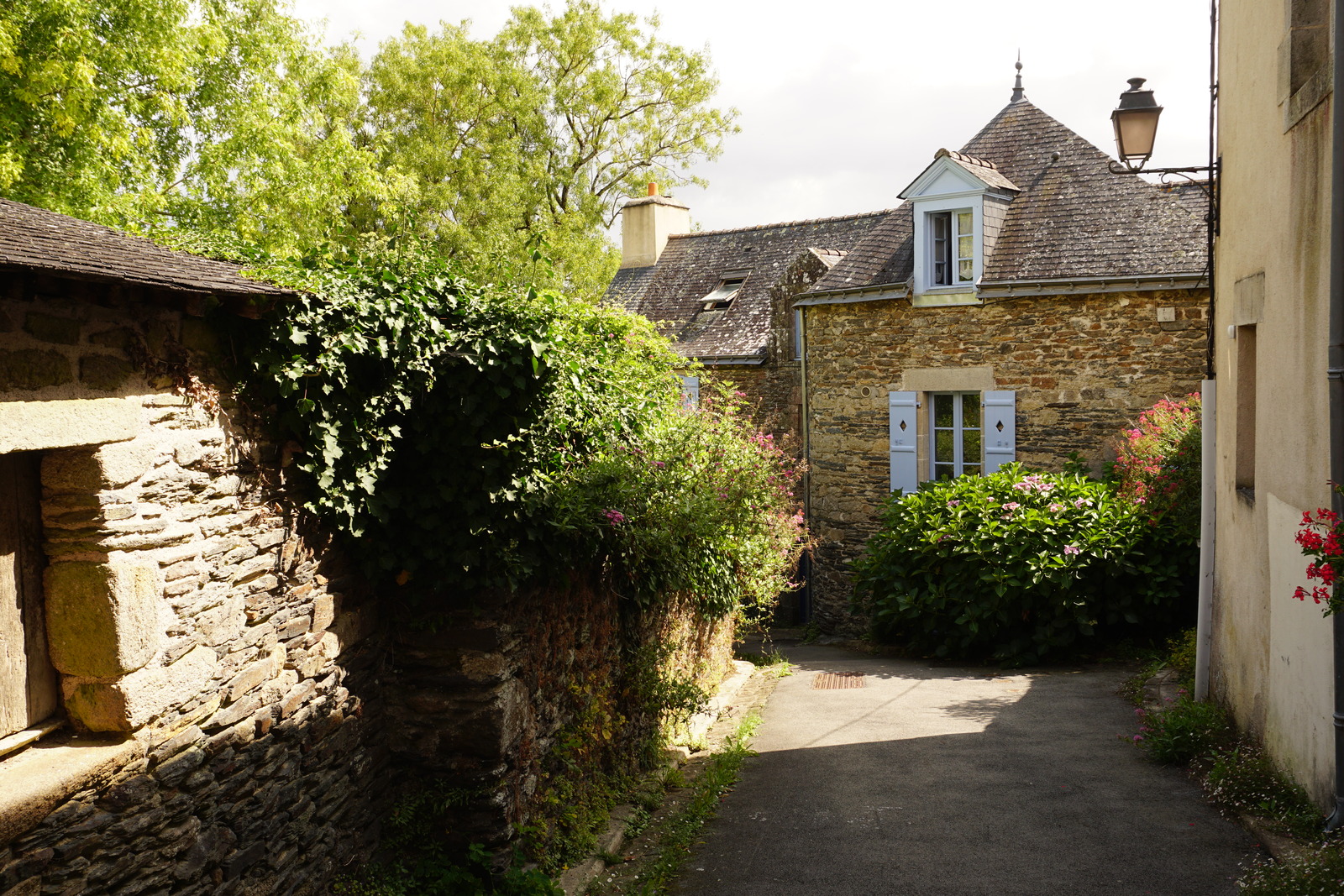 รูปถ่าย ฝรั่งเศส(France) รอชฟอร์-อ็อง-แตร์(Rochefort en terre) 2017-08 62