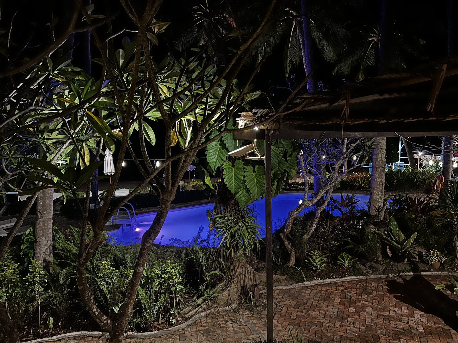 รูปถ่าย ไทย(Thailand) เกาะลันตา(Ko Lanta) 2023-01 272