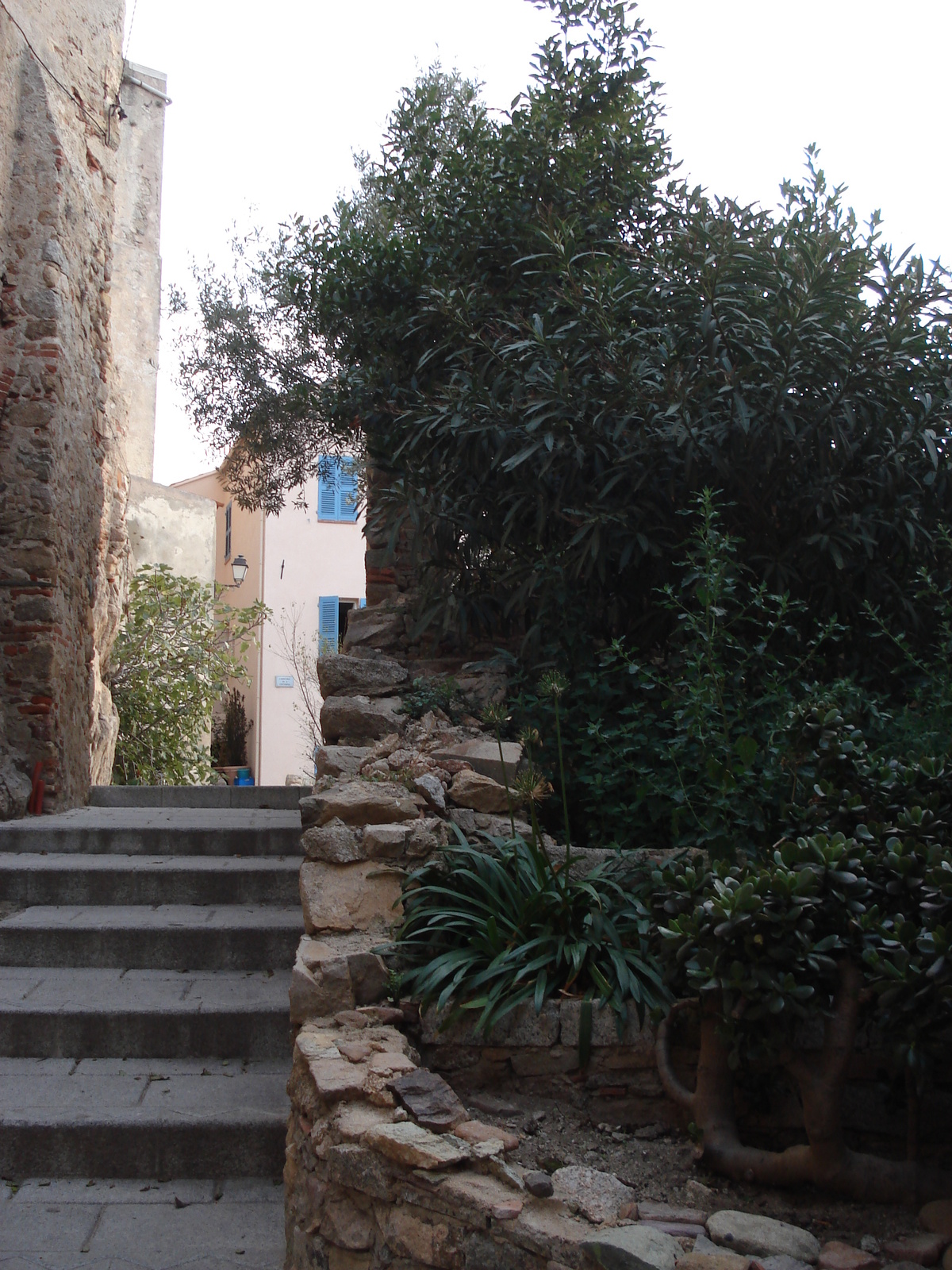 รูปถ่าย ฝรั่งเศส(France) คอร์สิคา(Corsica) คาลวี(Calvi) 2006-09 55