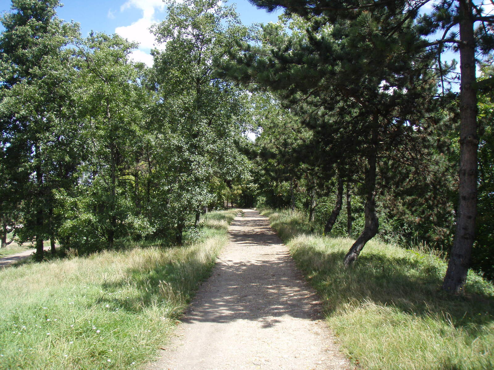 รูปถ่าย ฝรั่งเศส(France) โคลอมบ์(Colombes) เกาะมาร็องต์(L'ile Marrante) 2007-07 0