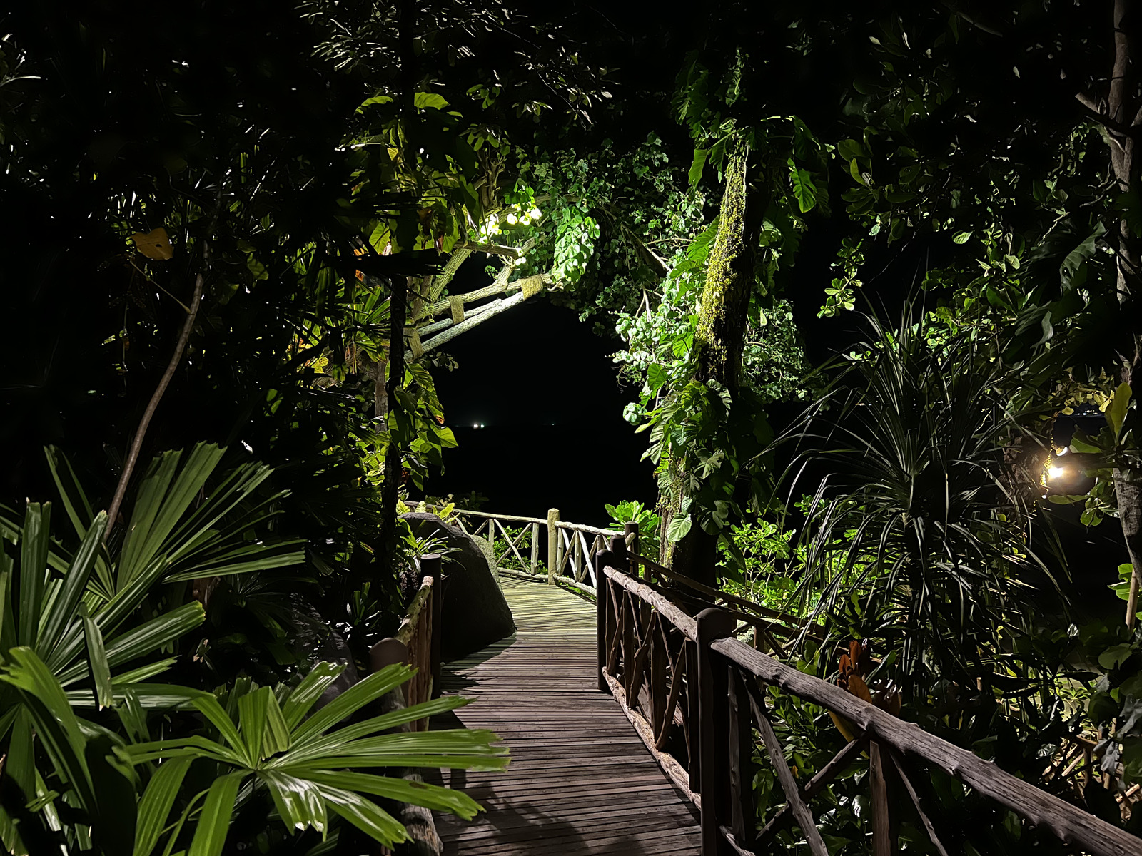 รูปถ่าย ไทย(Thailand) ภูเก็ต(Phuket) หาดกะรน(Karon Beach) ร้านอาหารออนเดอะร็อก(On the rock Restaurant) 2021-12 67