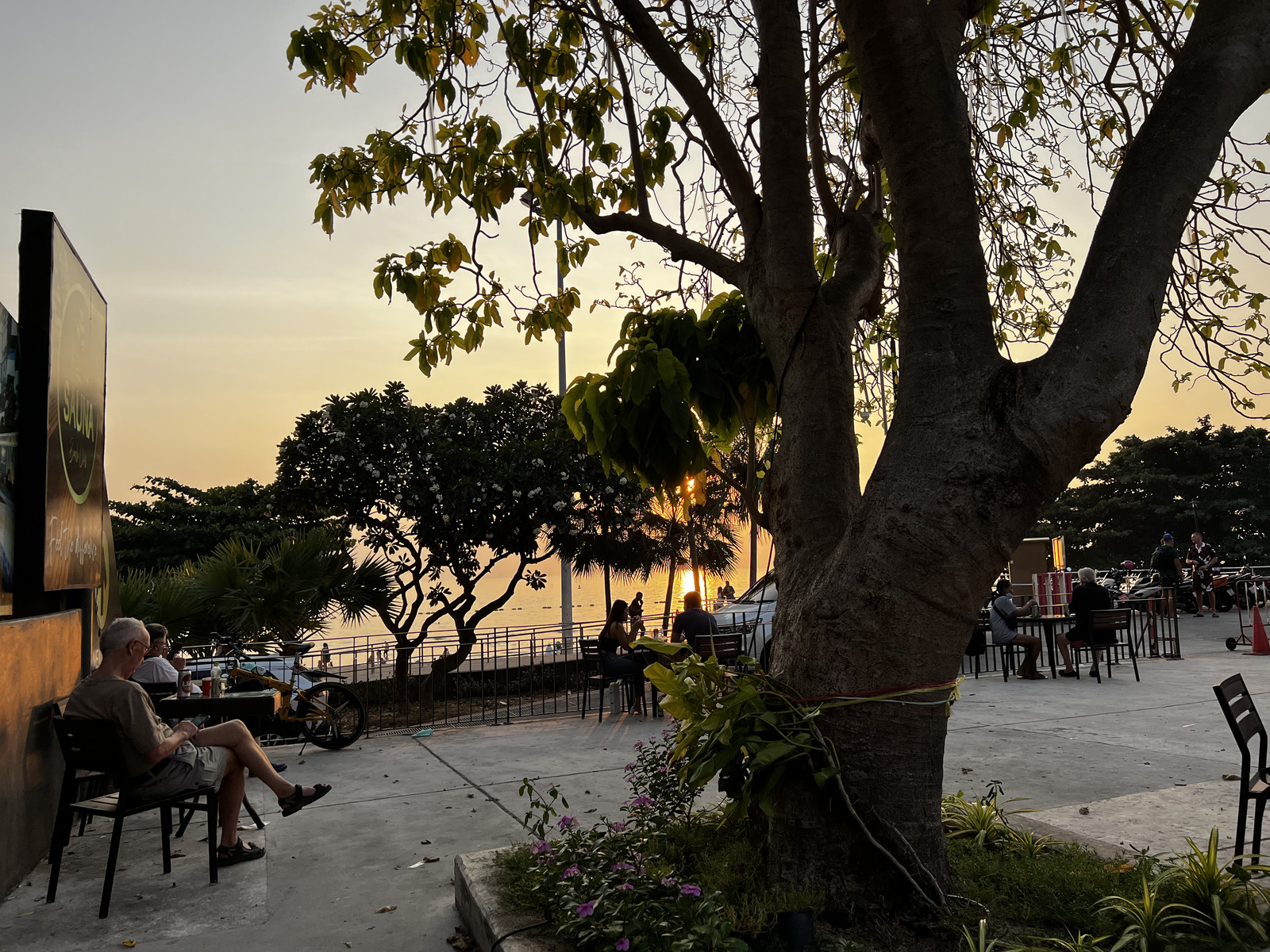 รูปถ่าย ไทย(Thailand) พัทยา(Pattaya) 2023-01 88