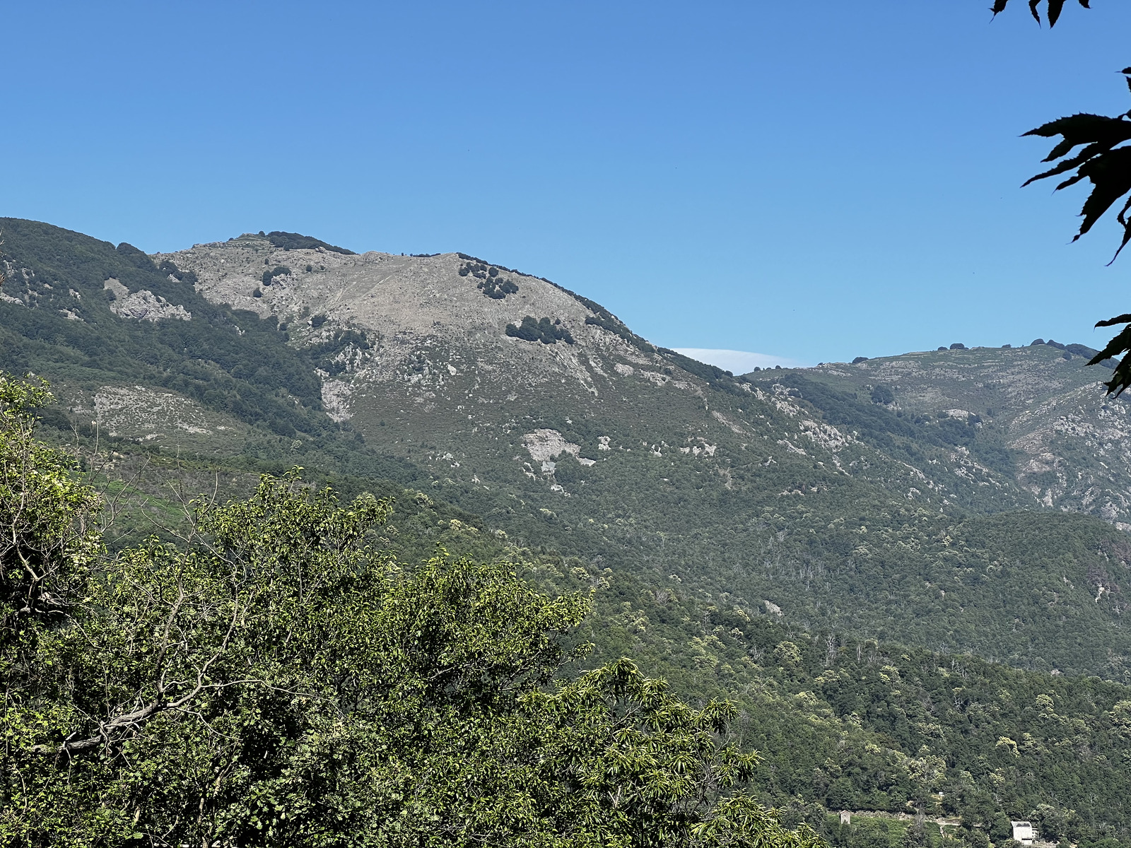 รูปถ่าย ฝรั่งเศส(France) คอร์สิคา(Corsica) ที่พักกัลเลรุชชู(Refuge de Callerucciu) 2022-06 15