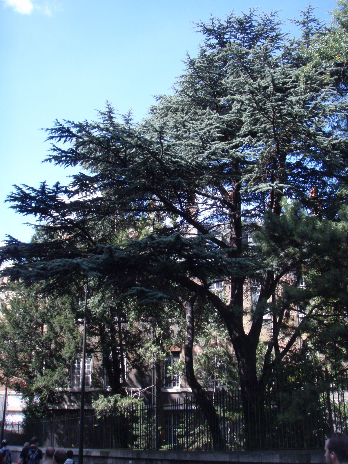 รูปถ่าย ฝรั่งเศส(France) ปารีส(Paris) เล่นสเก็ตในปารีส(Randonnee Roller et Coquillages) 2007-07 61