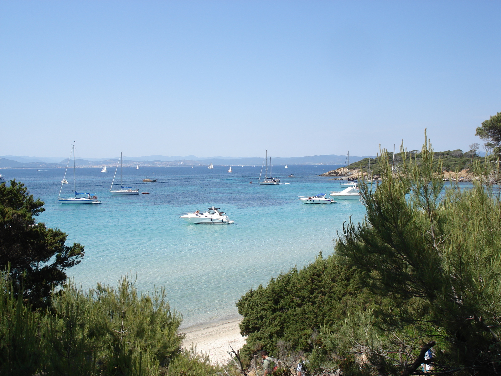รูปถ่าย ฝรั่งเศส(France) เกาะปอร์เกอรอล(Porquerolles Island) 2006-06 29
