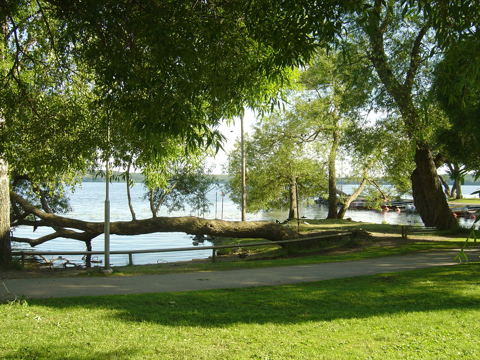 รูปถ่าย สวีเดน(Sweden) ซิกตูนา(Sigtuna) 2005-06 28