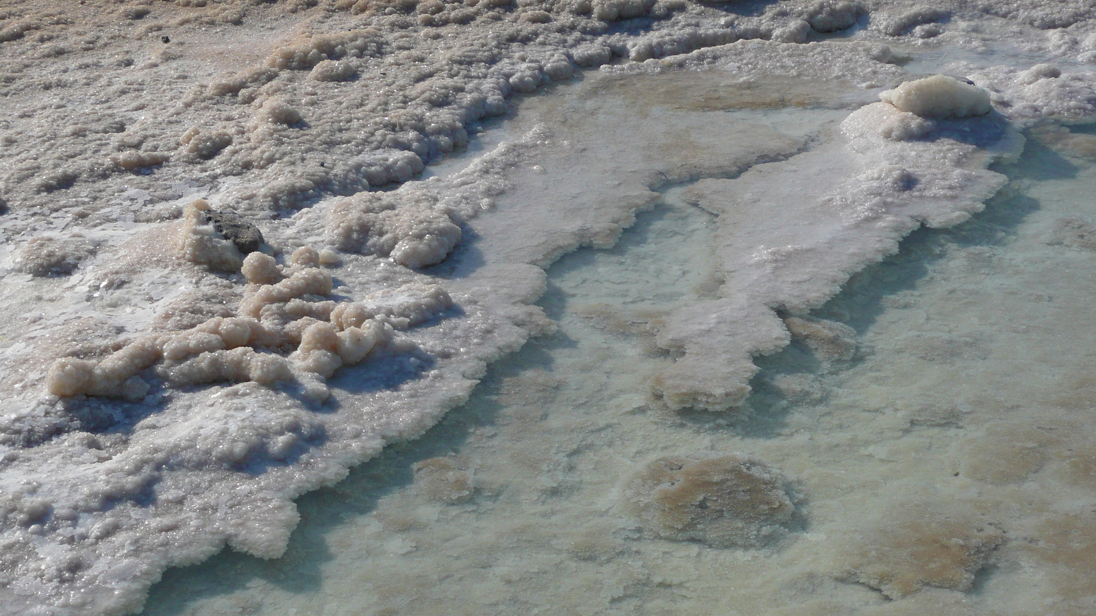 รูปถ่าย อิสราเอล(Israel) อึนโบเกก(Boqeq) 2007-06 124