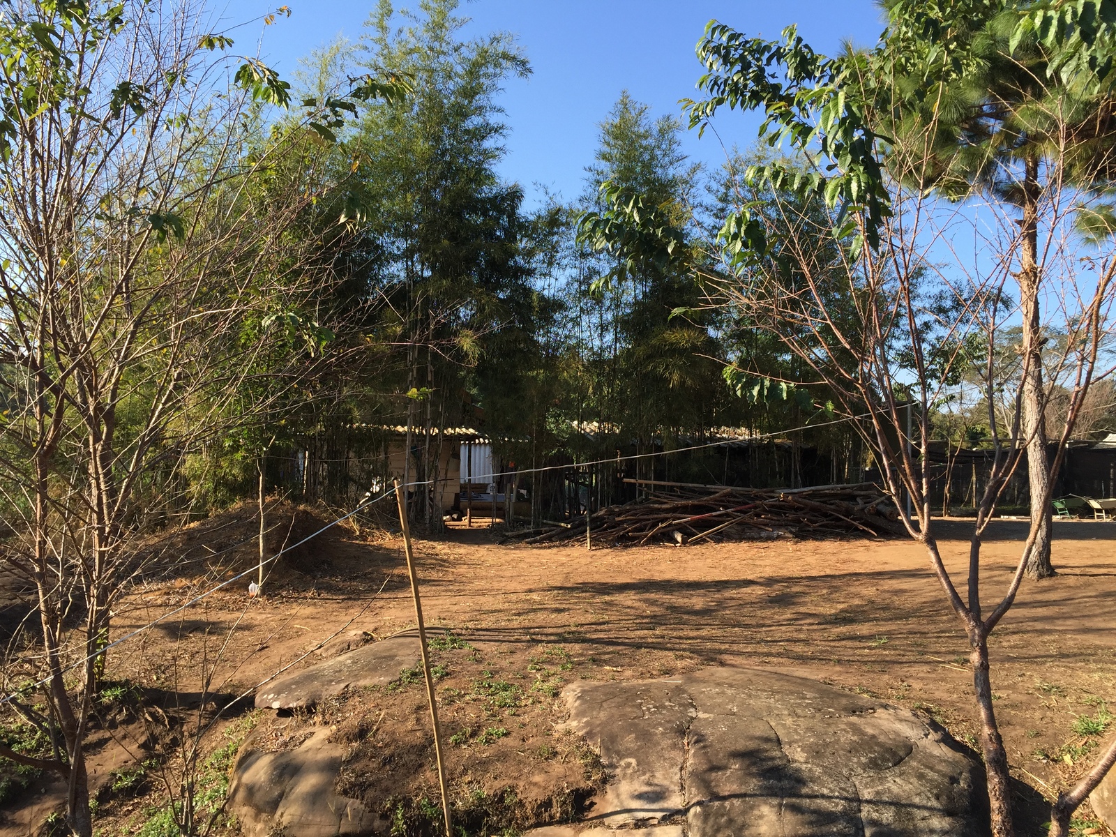 รูปถ่าย ไทย(Thailand) อุทยานแห่งชาติภูหินร่องกล้า(Phu Hin Rong Kla National Park) 2014-12 156