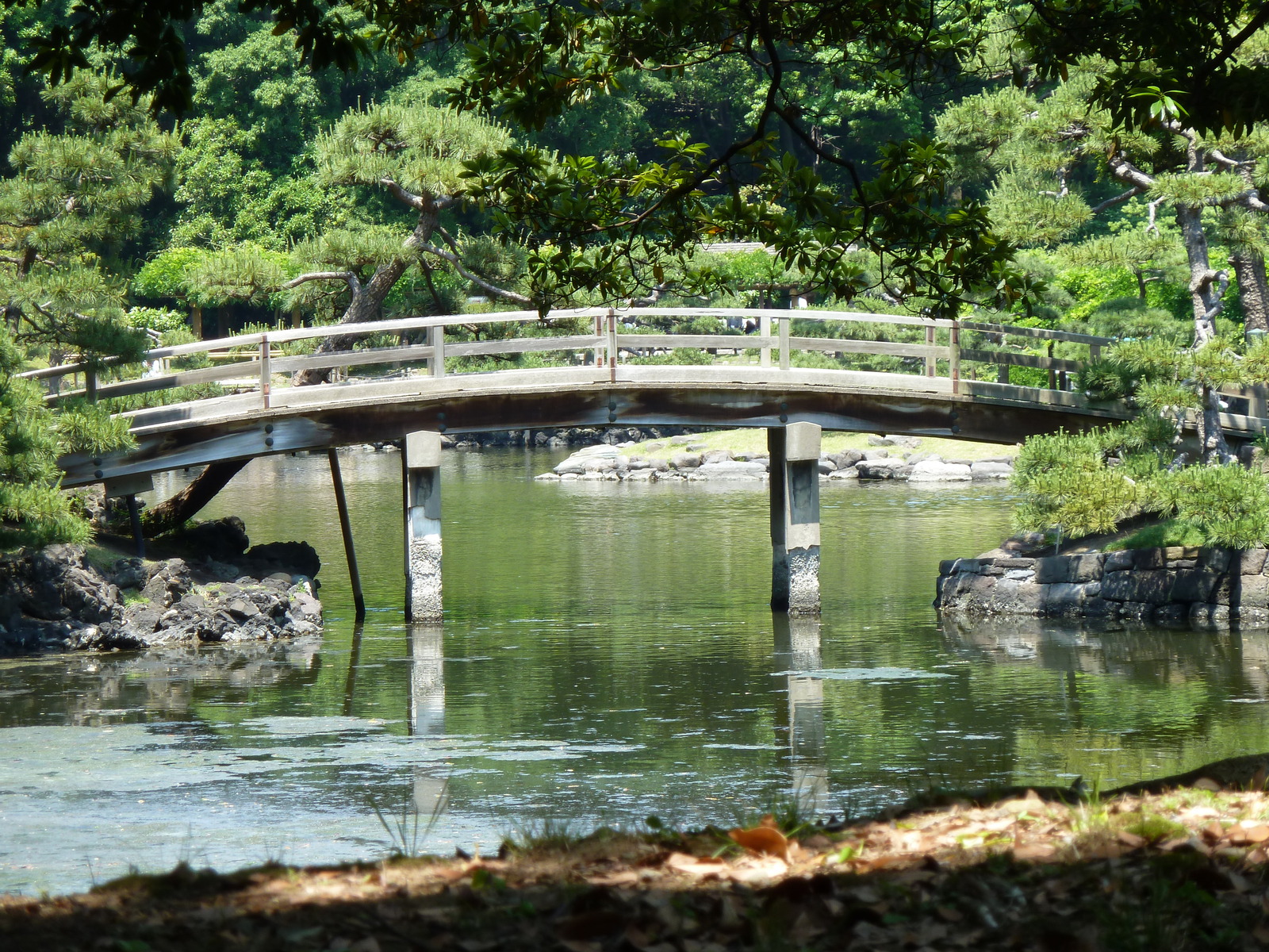 รูปถ่าย ญี่ปุ่น(Japan) โตเกียว(Tokyo) สวนฮามะริคิว(Hama rikyu Gardens) 2010-06 111