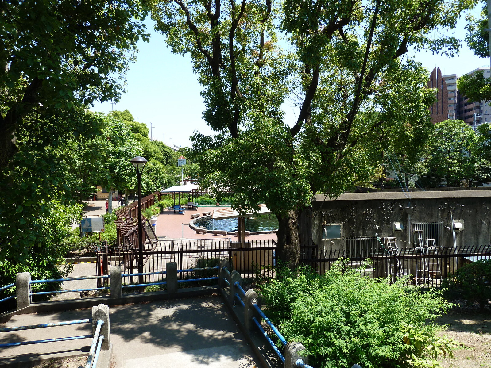 รูปถ่าย ญี่ปุ่น(Japan) โตเกียว(Tokyo) ซุมิดะ(Sumida) 2010-06 27