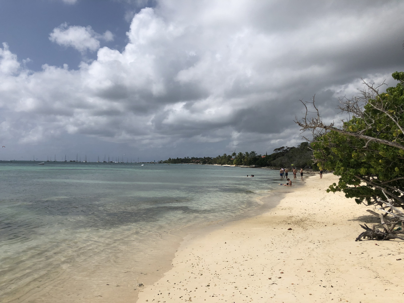 รูปถ่าย กวาเดอลูป(Guadeloupe) แซ็งฟร็องซัว(Saint Francois) 2021-02 68