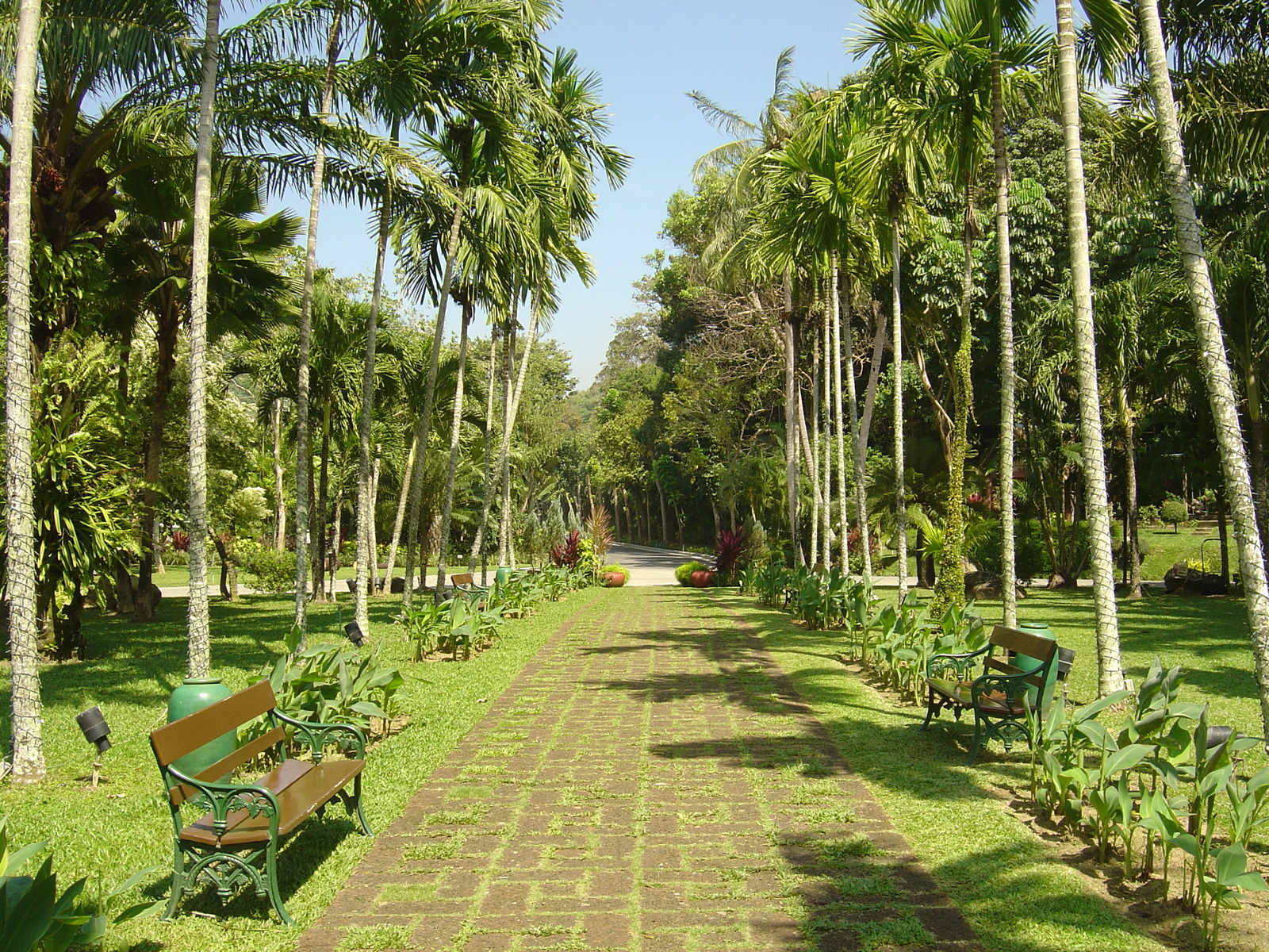 รูปถ่าย ไทย(Thailand) ภูเก็ต(Phuket) โรงแรมเลอเมอริเดียน ภูเก็ตบีช(Meridien Phuket Beach Hotel) 2005-12 105